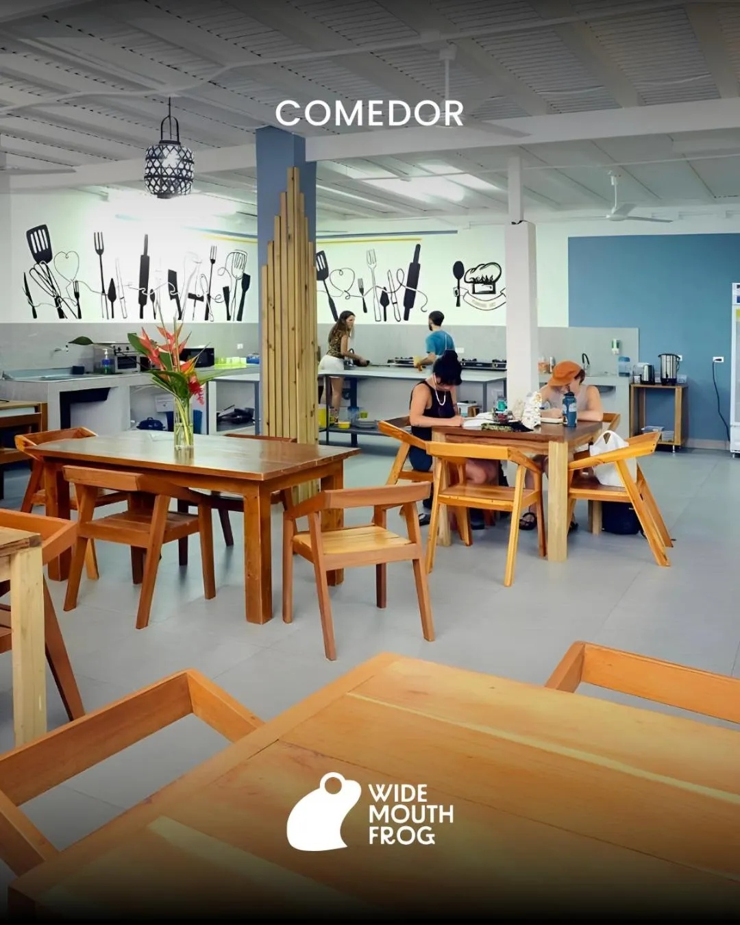 Kitchen or kitchenette in Wide Mouth Frog Quepos