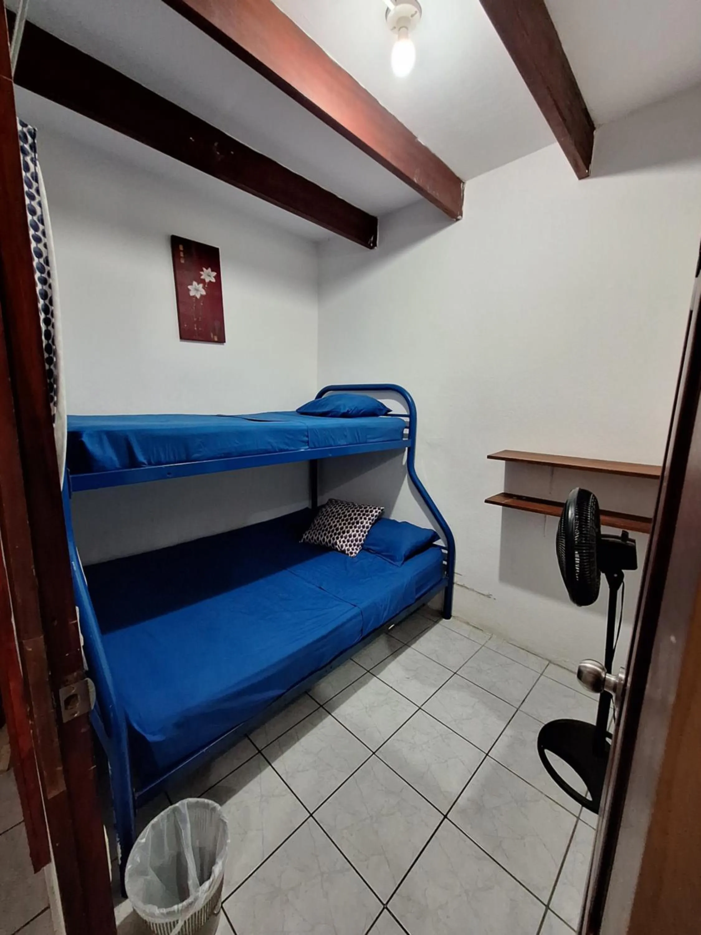 Photo of the whole room, Bed in Wide Mouth Frog Quepos