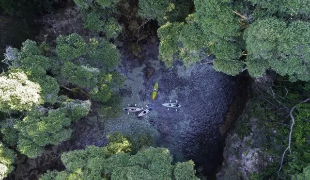 Amazing Kiwi Lodge