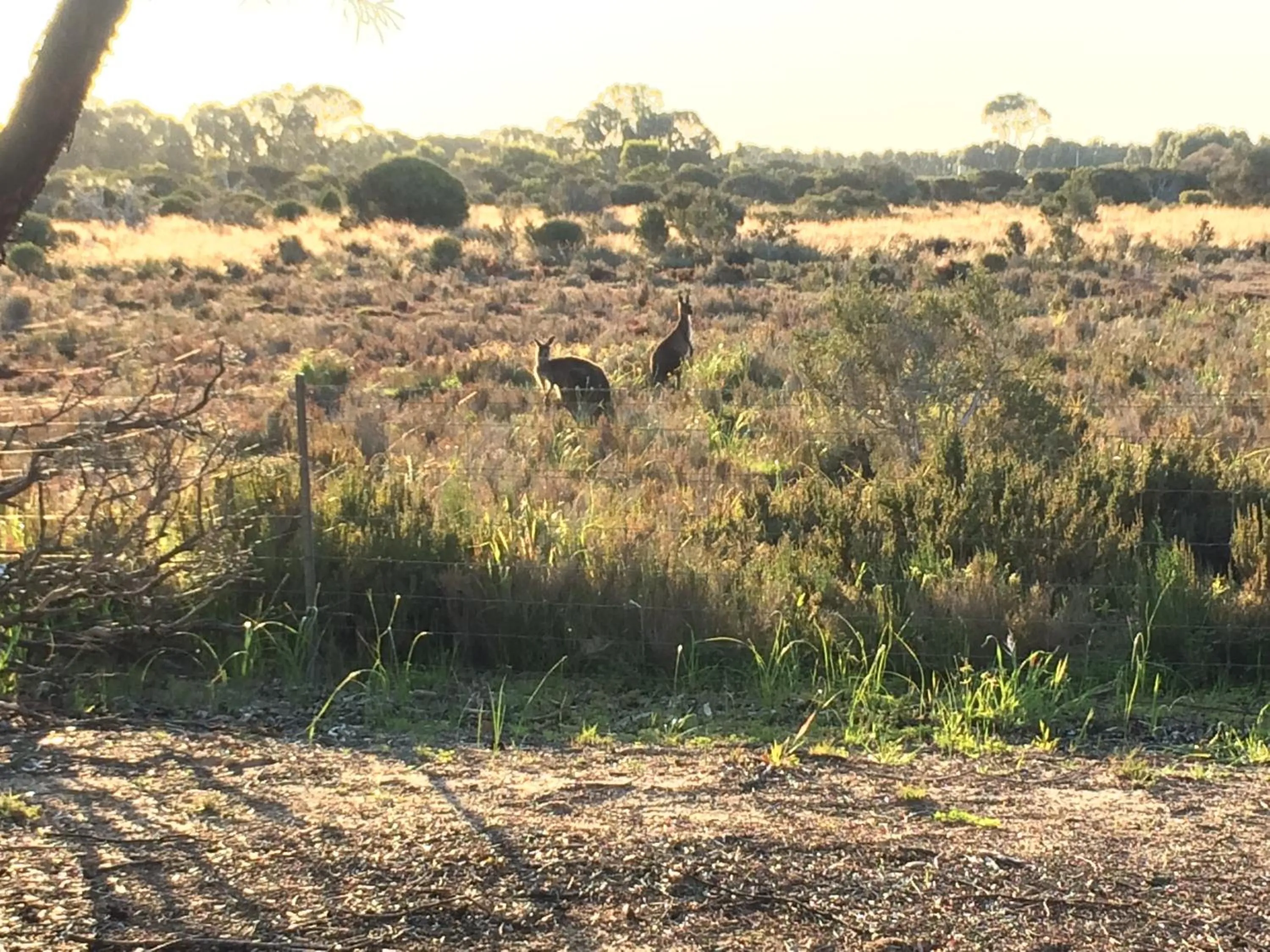 Esperance Coastal Retreat