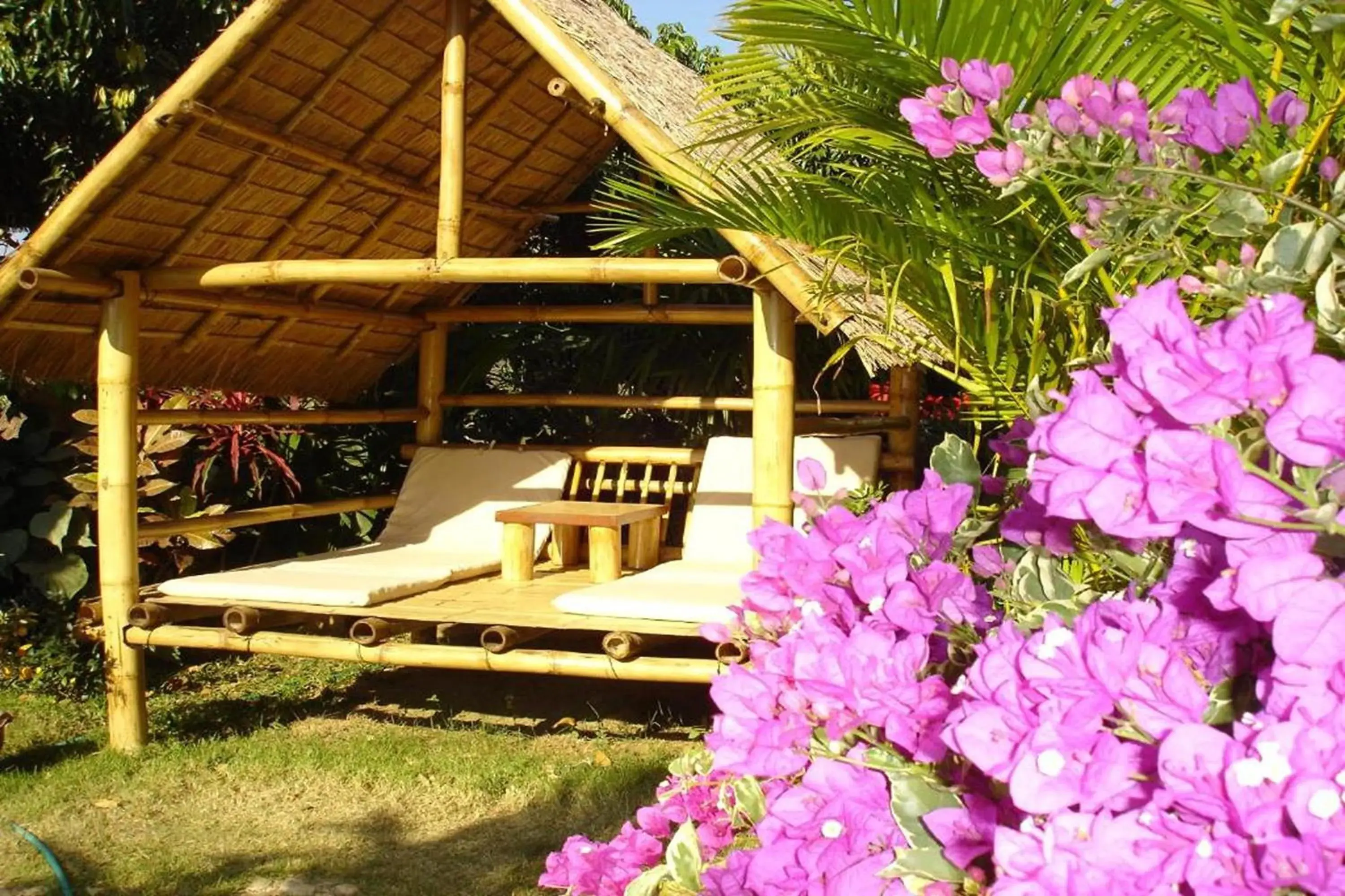 Property building in Old Tree's House Property building in Old Tree's House