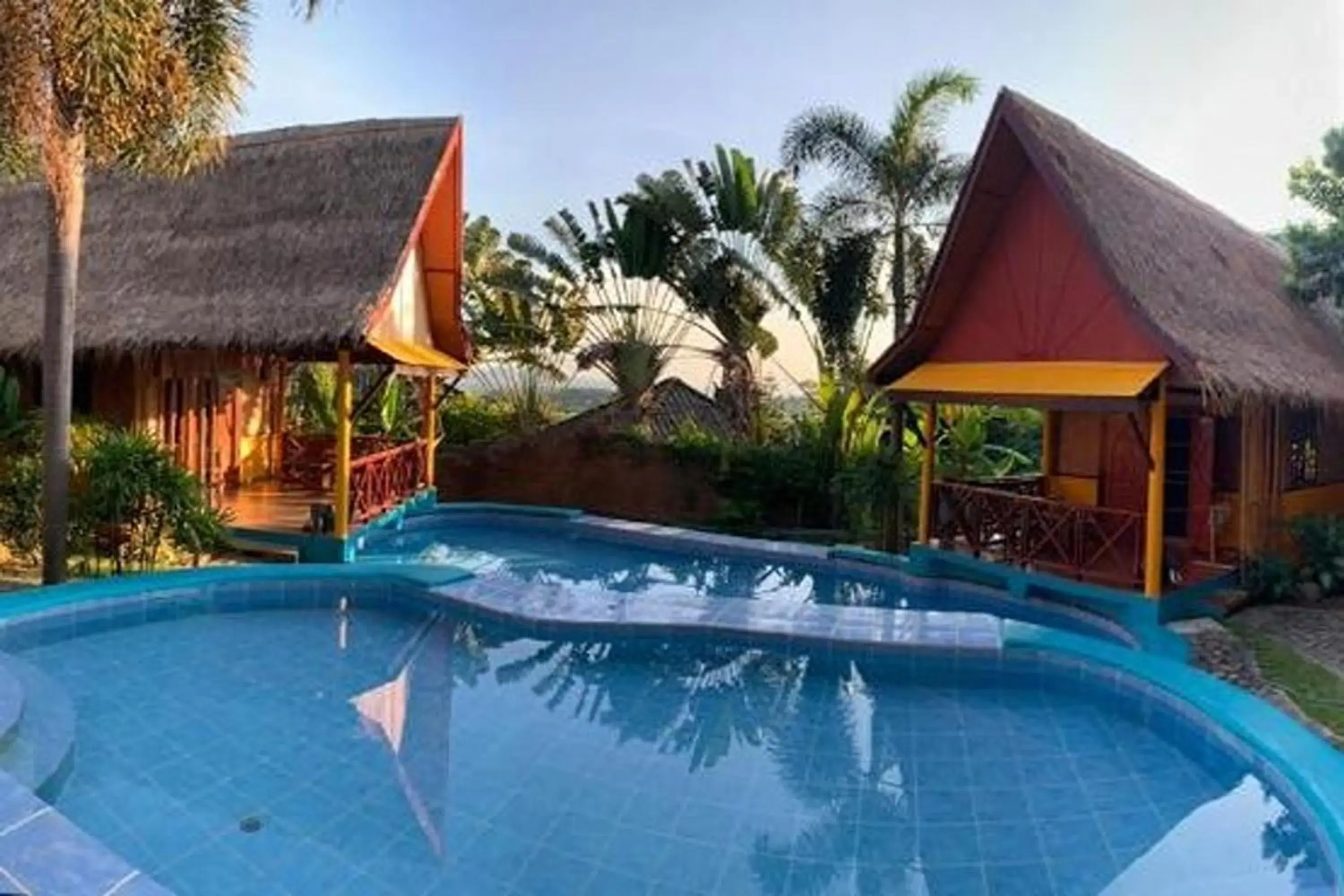 Swimming pool in Old Tree's House Swimming pool in Old Tree's House