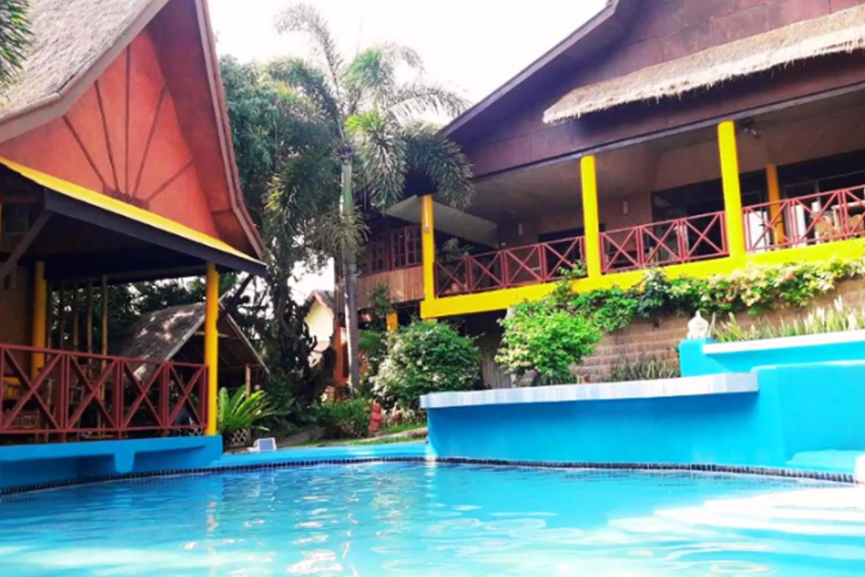 Property building in Old Tree's House Property building in Old Tree's House