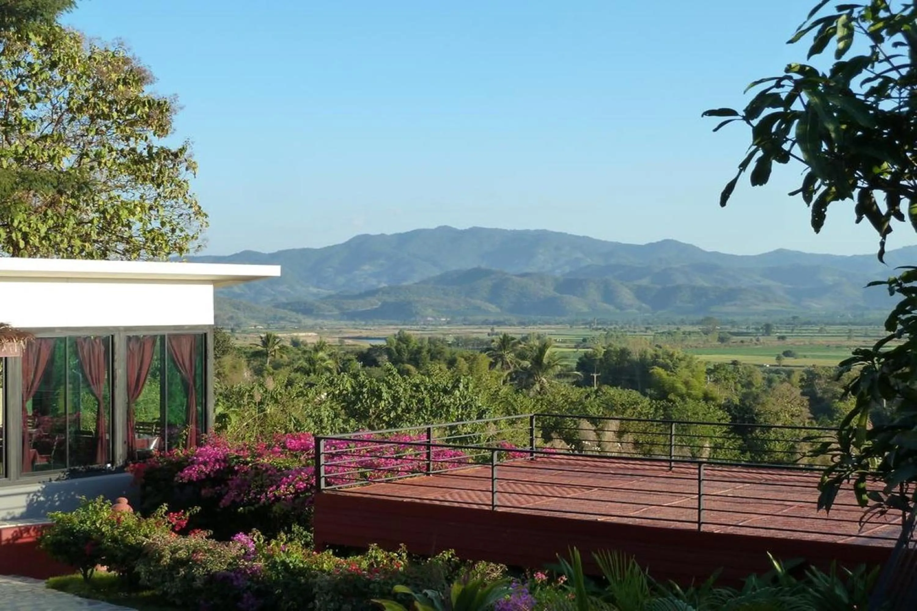 View (from property/room) in Old Tree's House