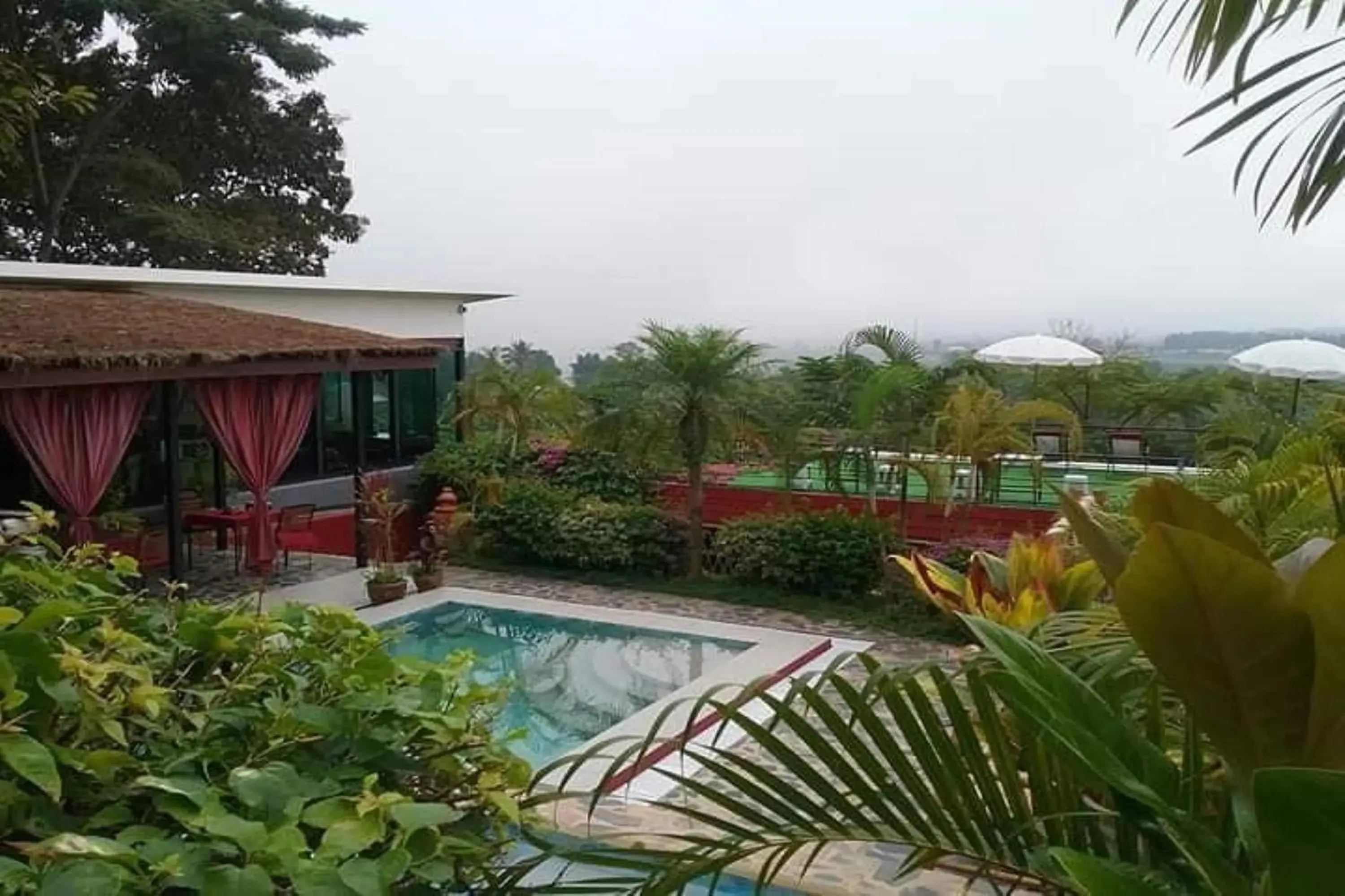 Swimming pool in Old Tree's House Swimming pool in Old Tree's House