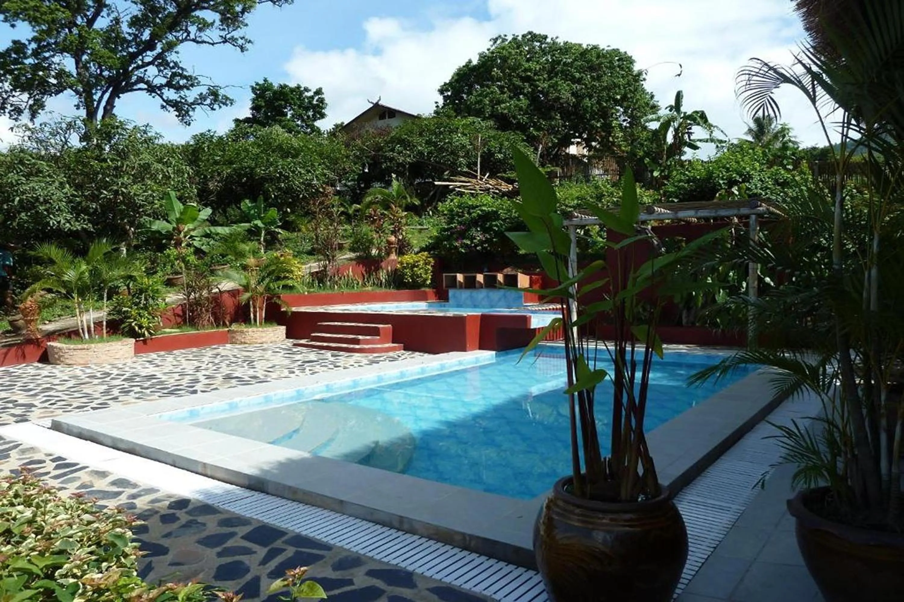 Swimming pool in Old Tree's House