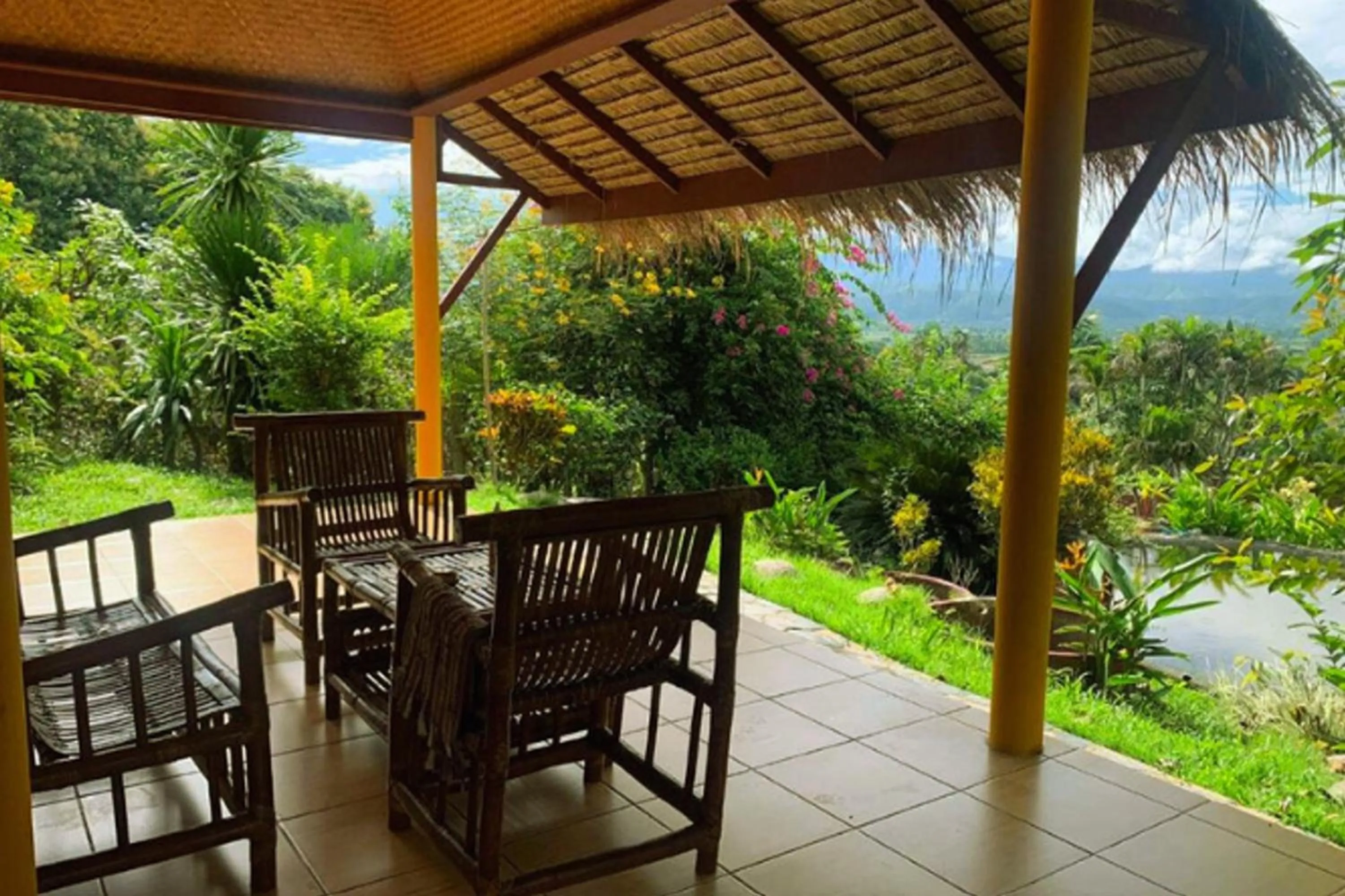 View (from property/room) in Old Tree's House