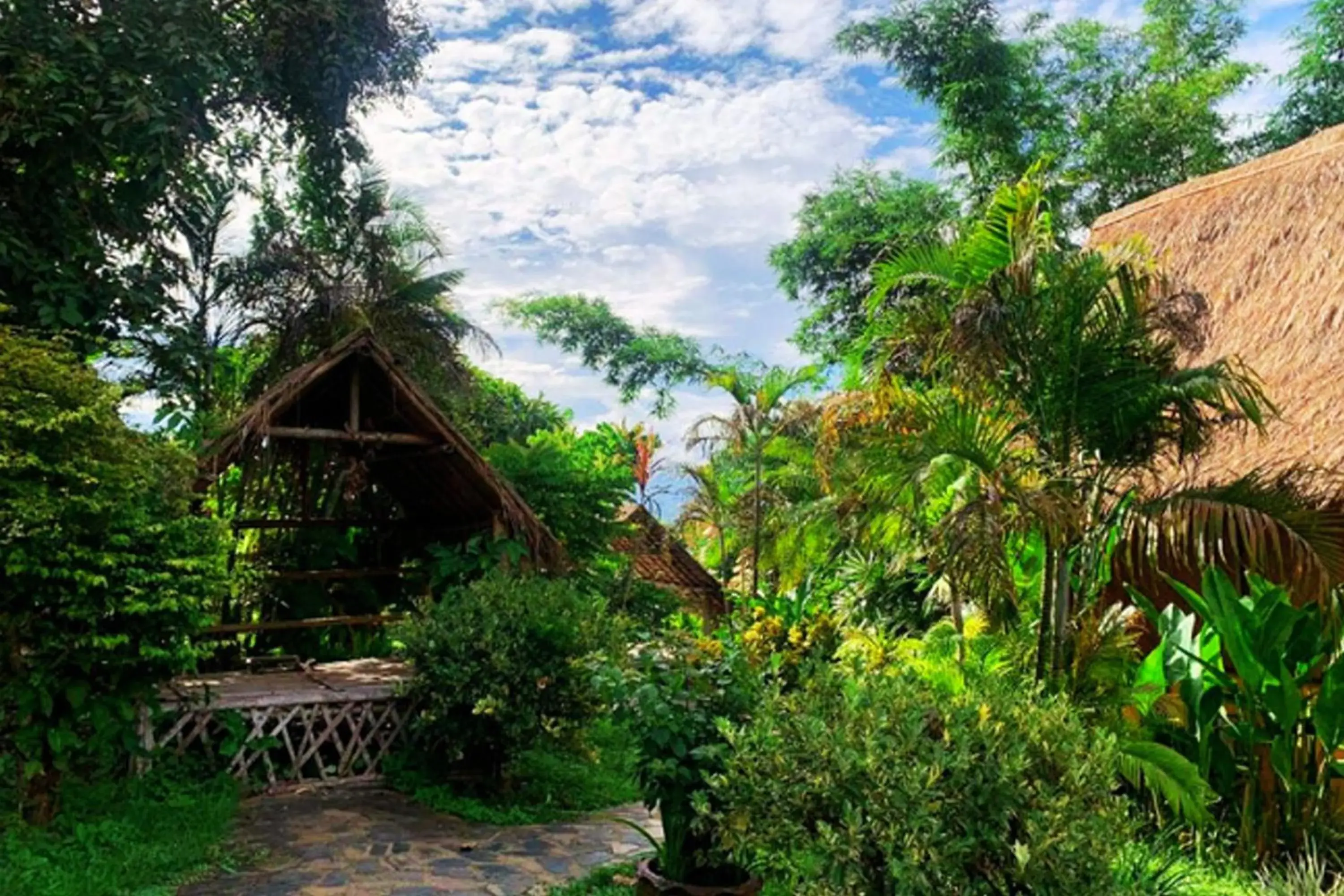 Garden view in Old Tree's House Garden view in Old Tree's House