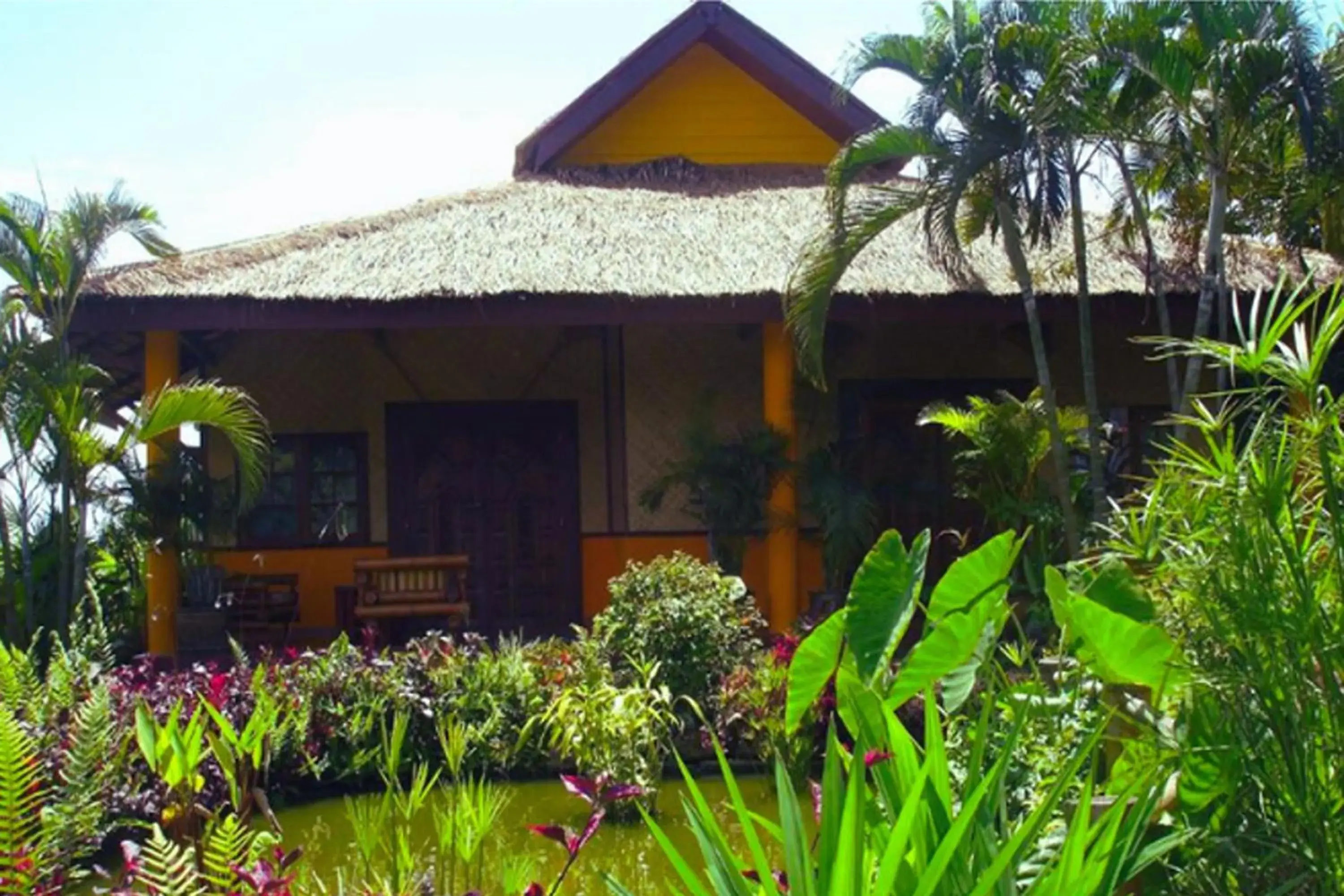 Property building in Old Tree's House Property building in Old Tree's House