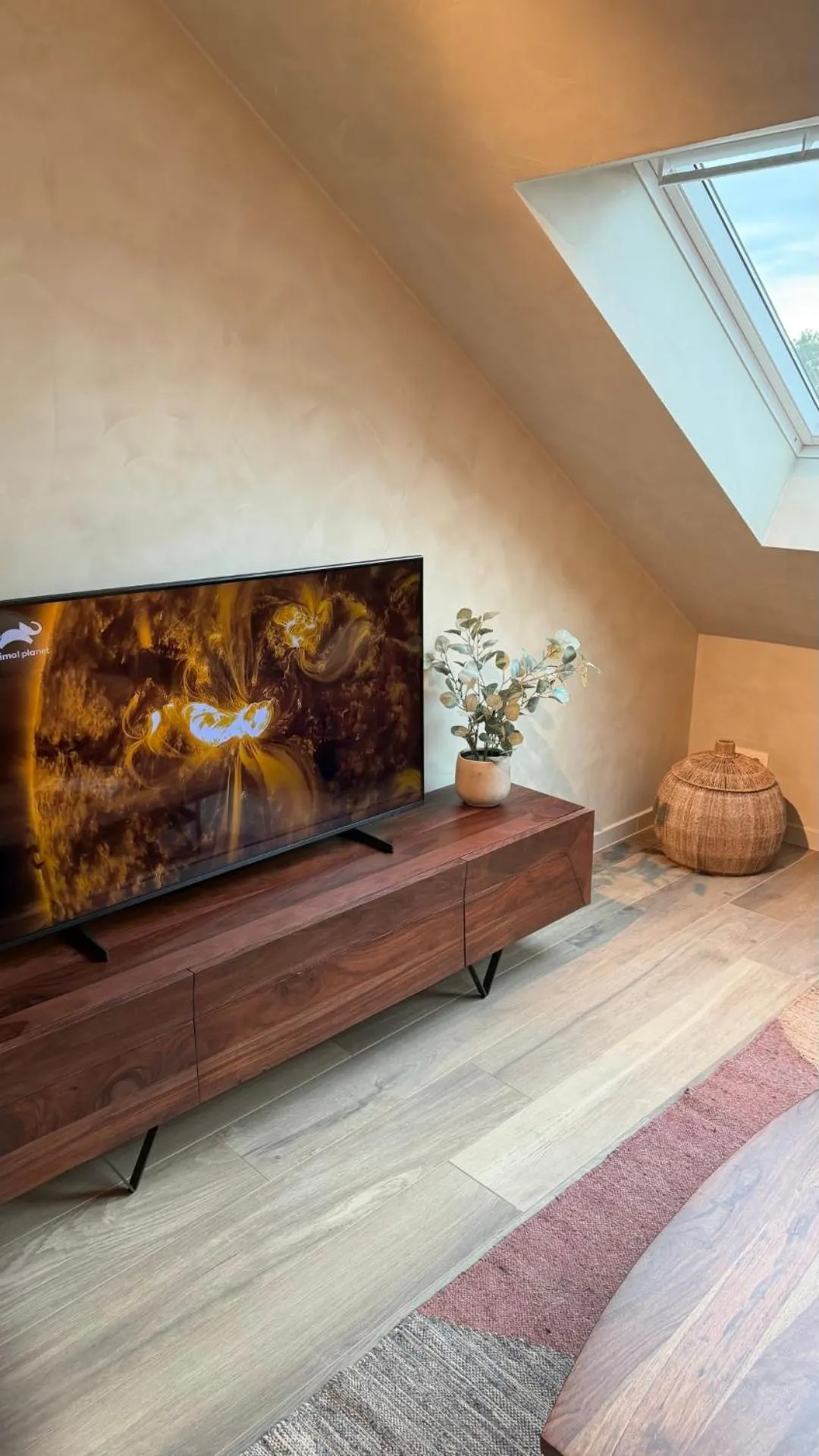 TV and multimedia in Hotel Astoria Gent