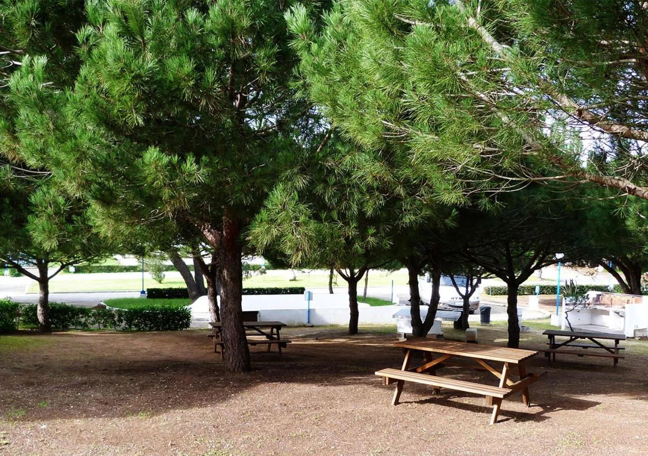 Garden in Parque de Campismo Orbitur Sagres