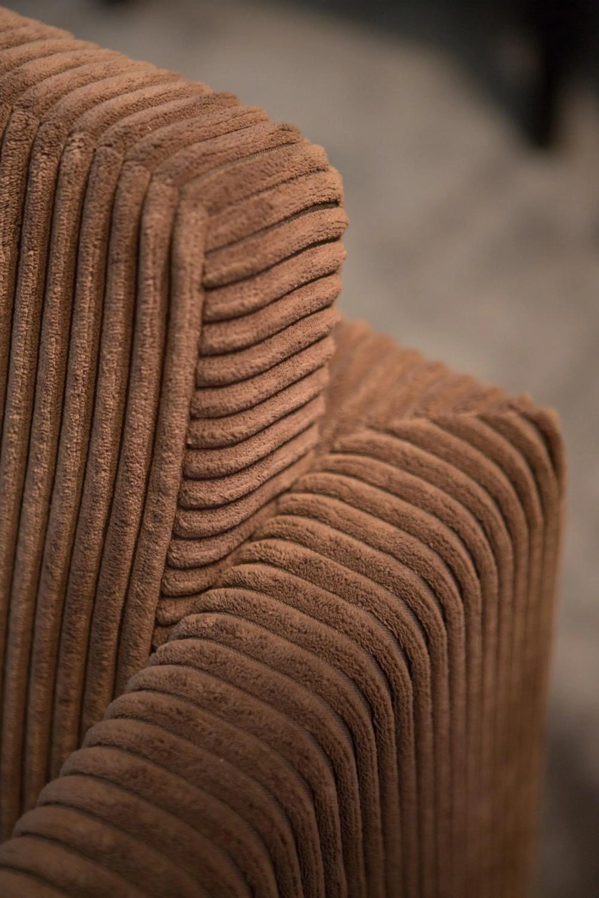 Restaurant/places to eat in Hotel The Neufchatel