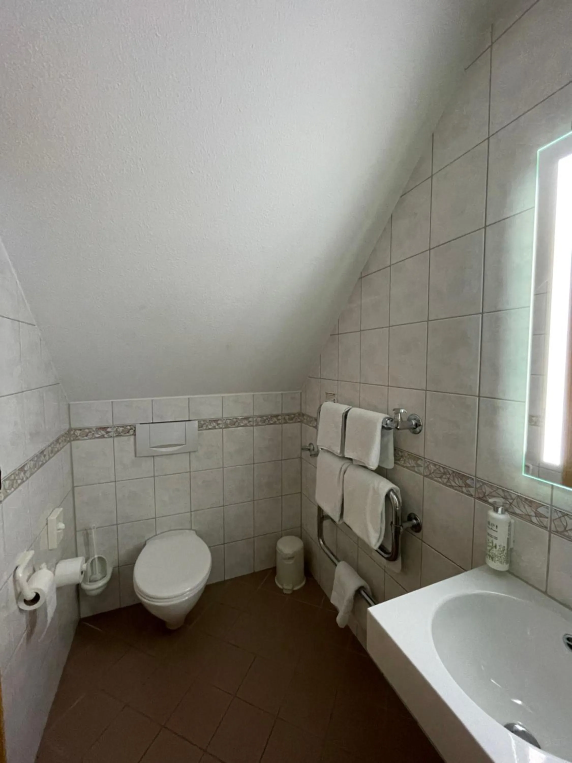 Toilet in Hotel Wolfsjäger