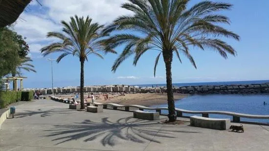 Property building in Casa Ventura