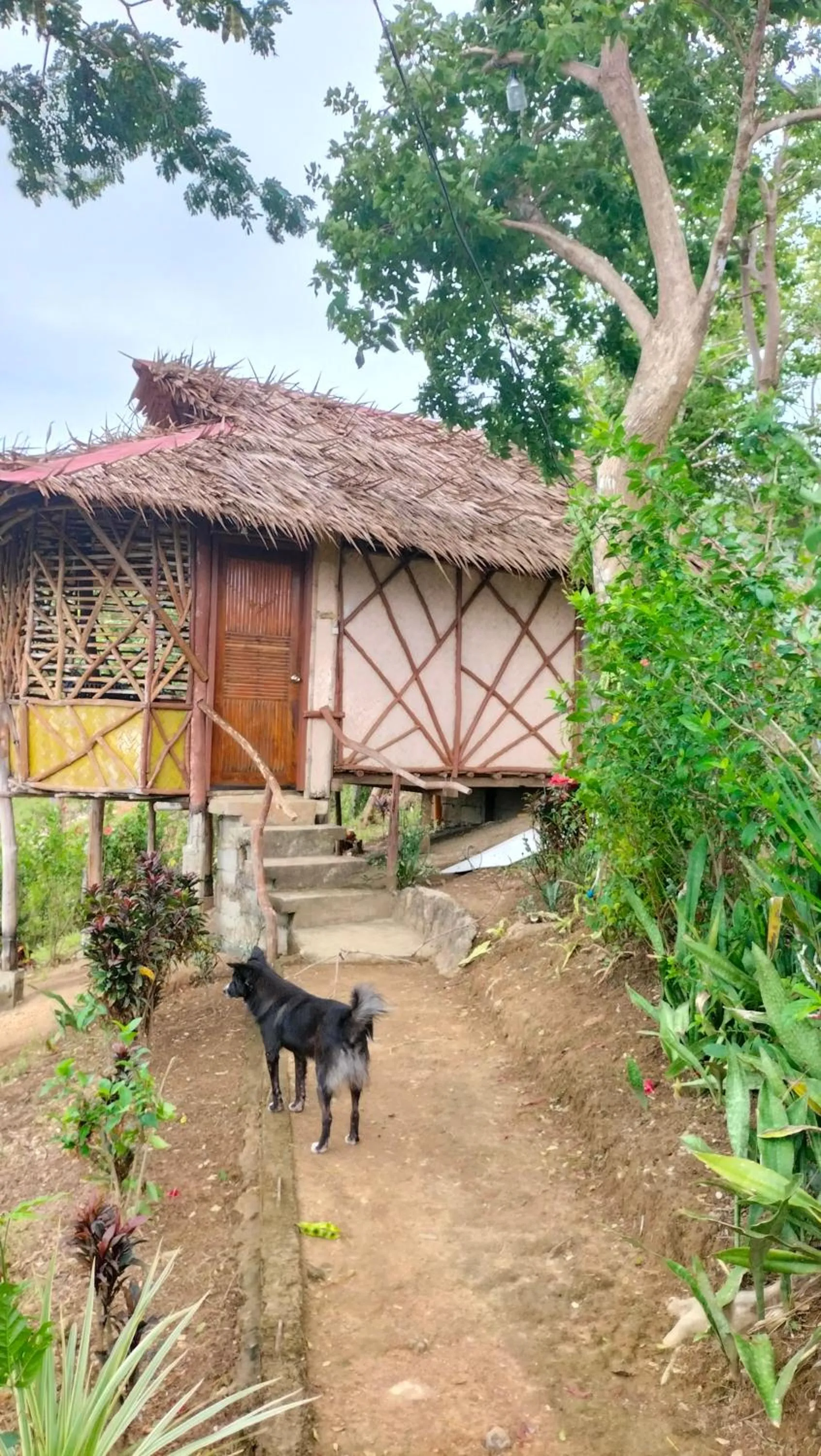 Property building in Erlittop Nature Lodge