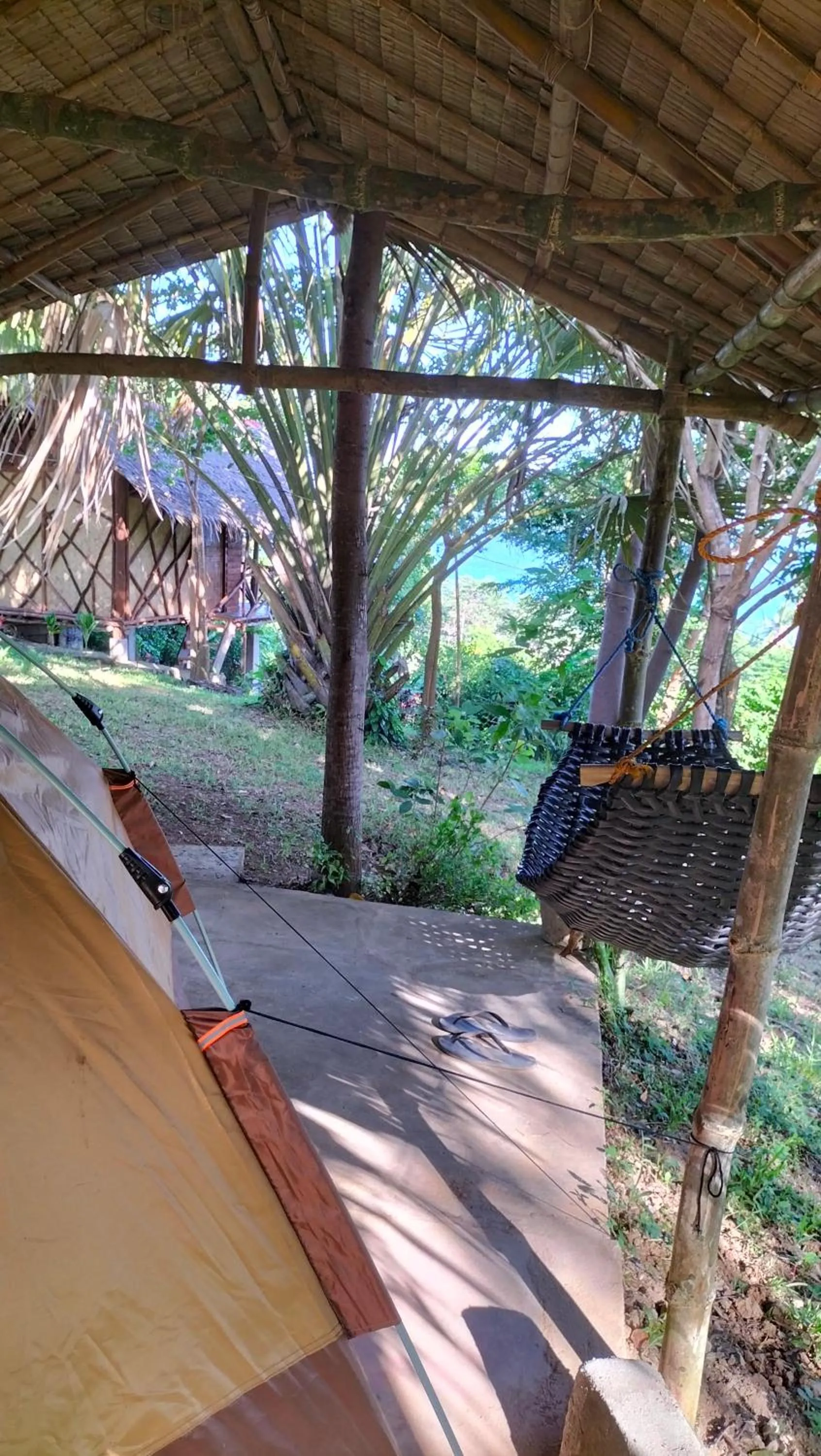 View (from property/room) in Erlittop Nature Lodge