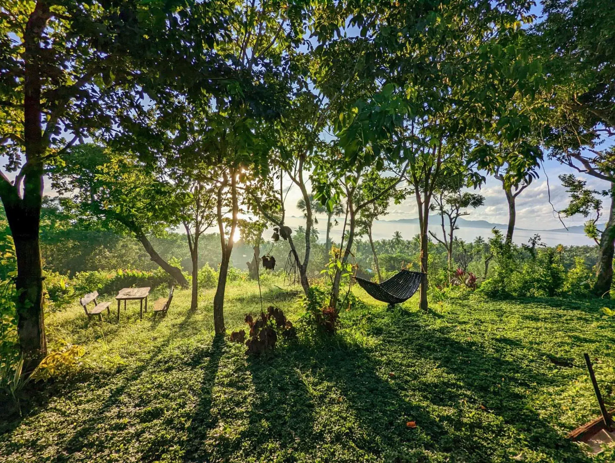 Garden view in Erlittop Nature Lodge Garden view in Erlittop Nature Lodge