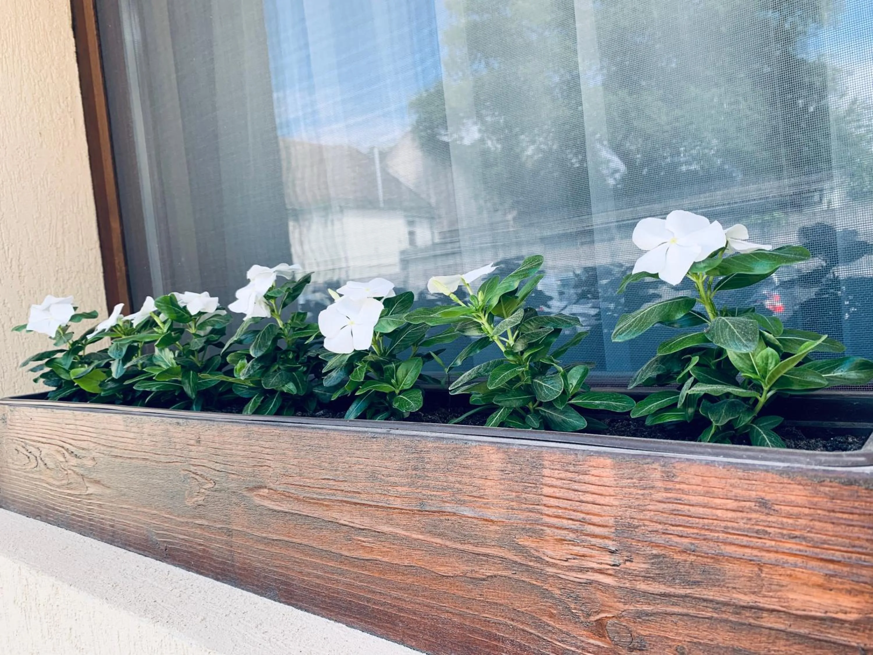 Decorative detail in Thermal Apartman
