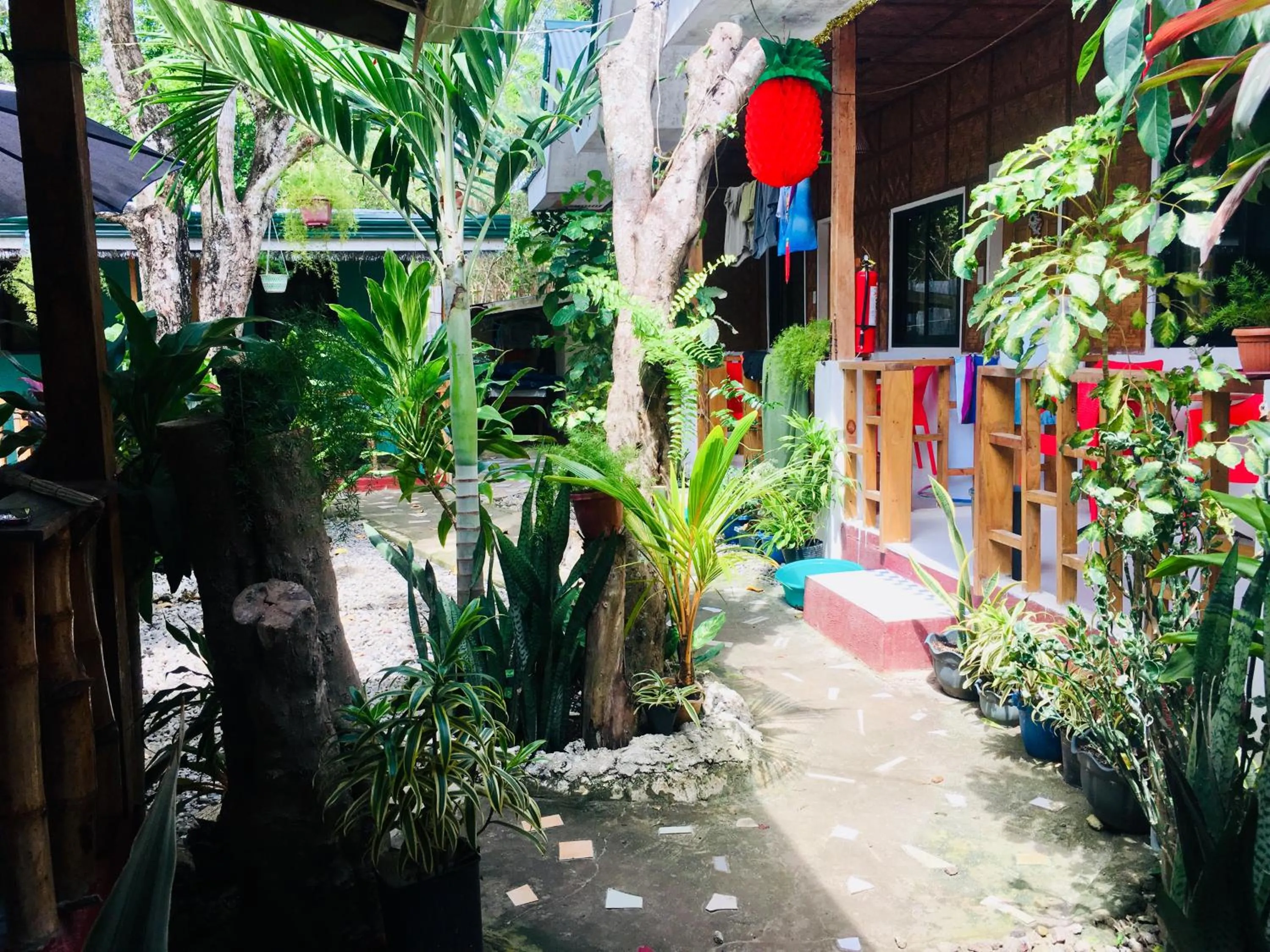 Domos Native Guest House