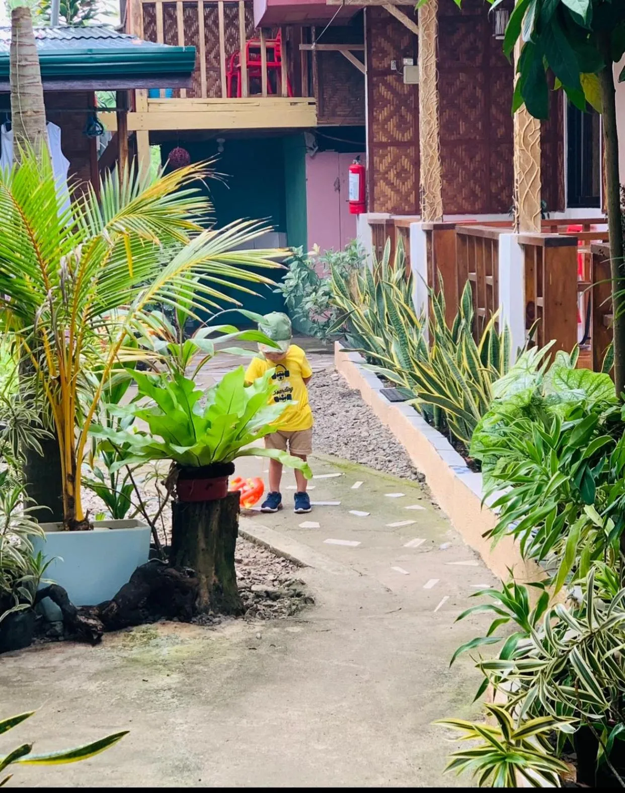 Domos Native Guest House