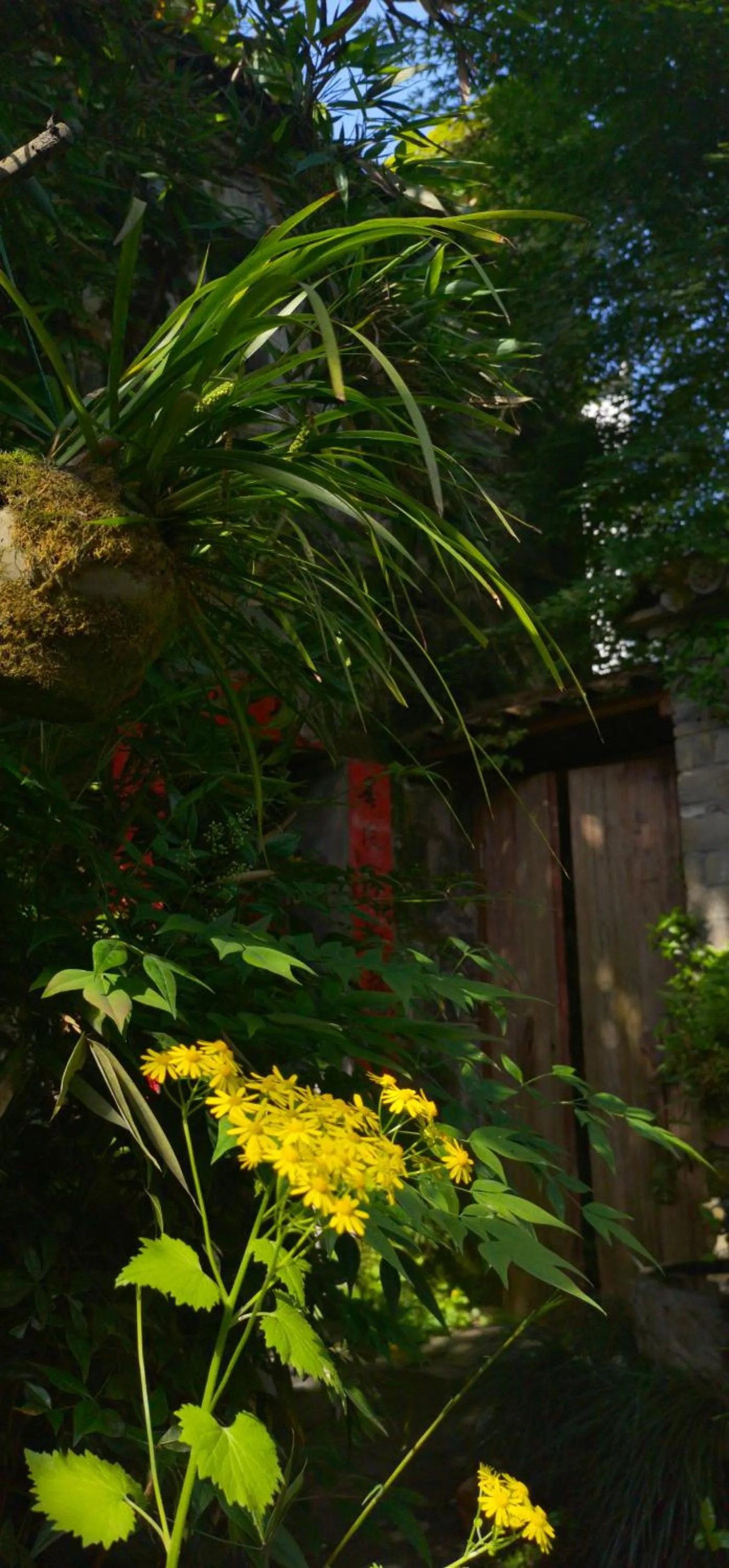 WuYuan QiYe YanXiang Guesthouse