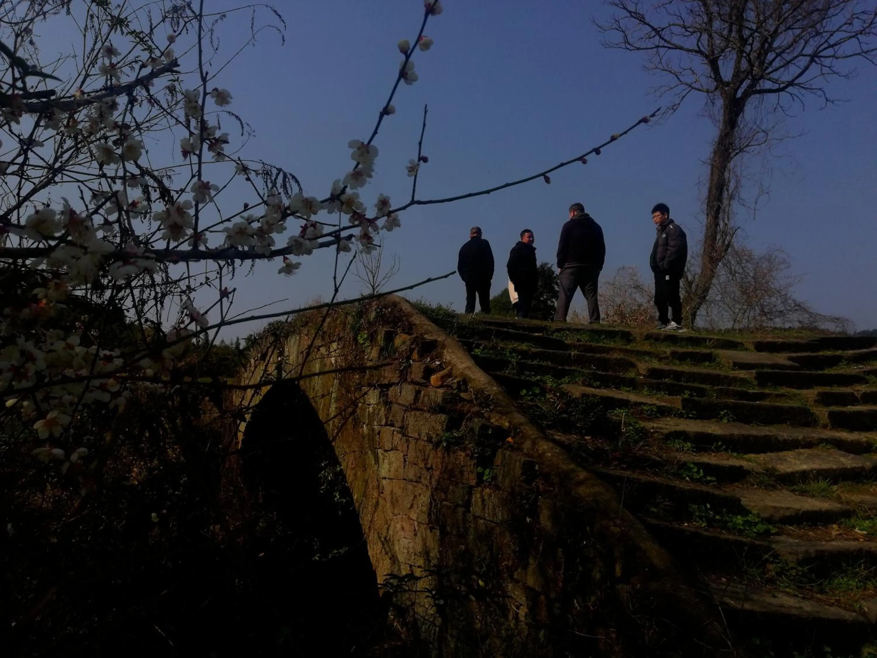 WuYuan QiYe YanXiang Guesthouse