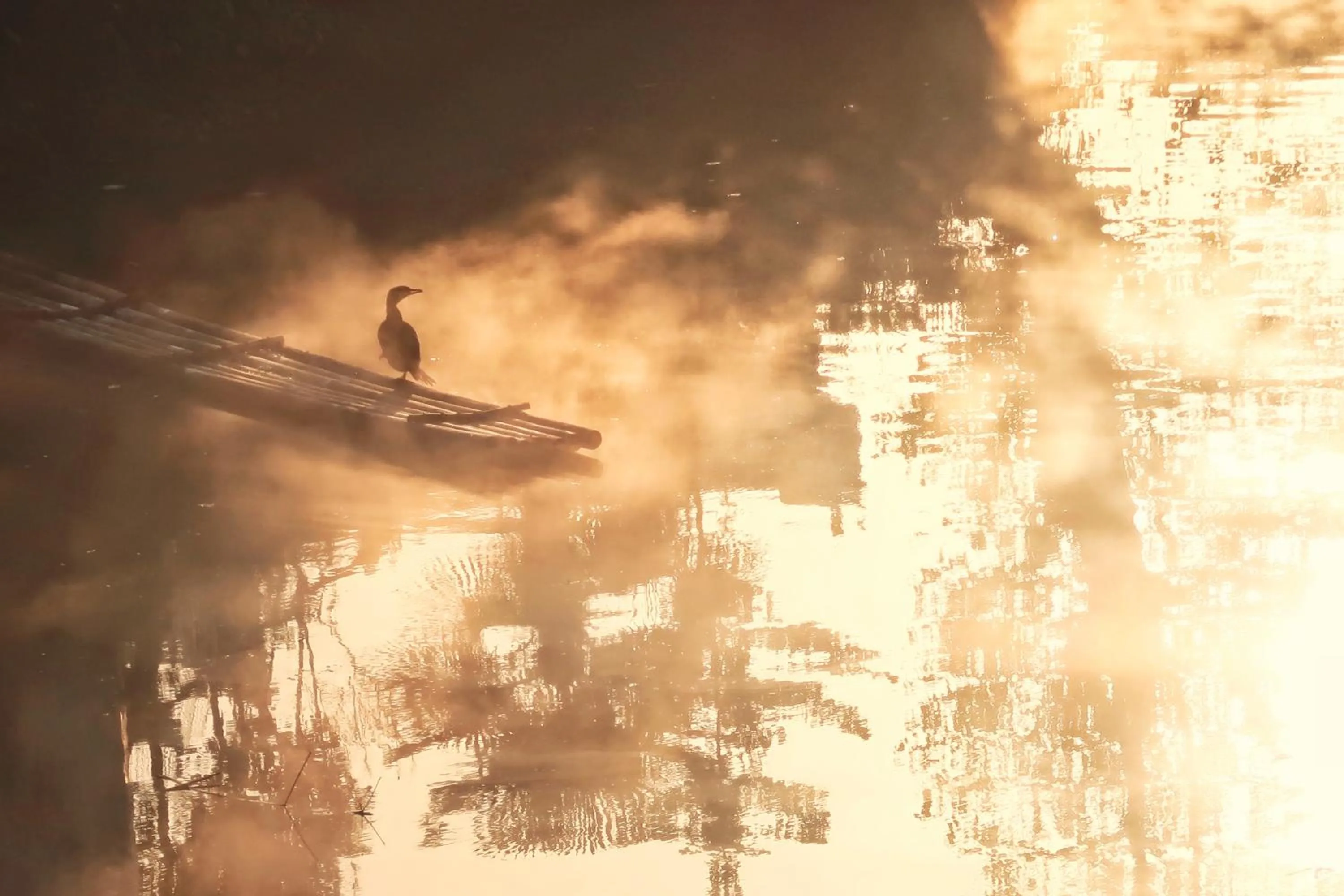 WuYuan QiYe YanXiang Guesthouse