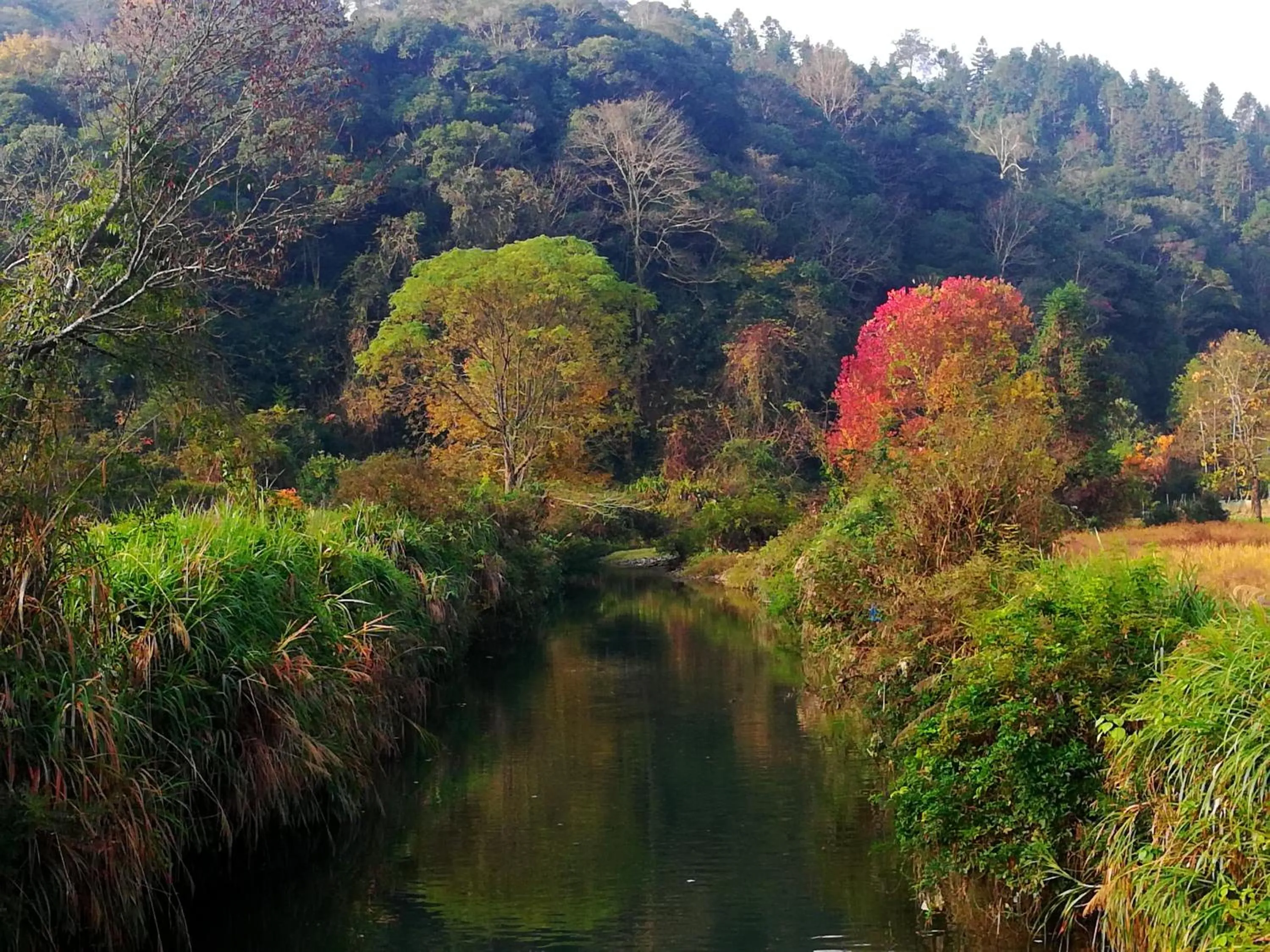 WuYuan QiYe YanXiang Guesthouse