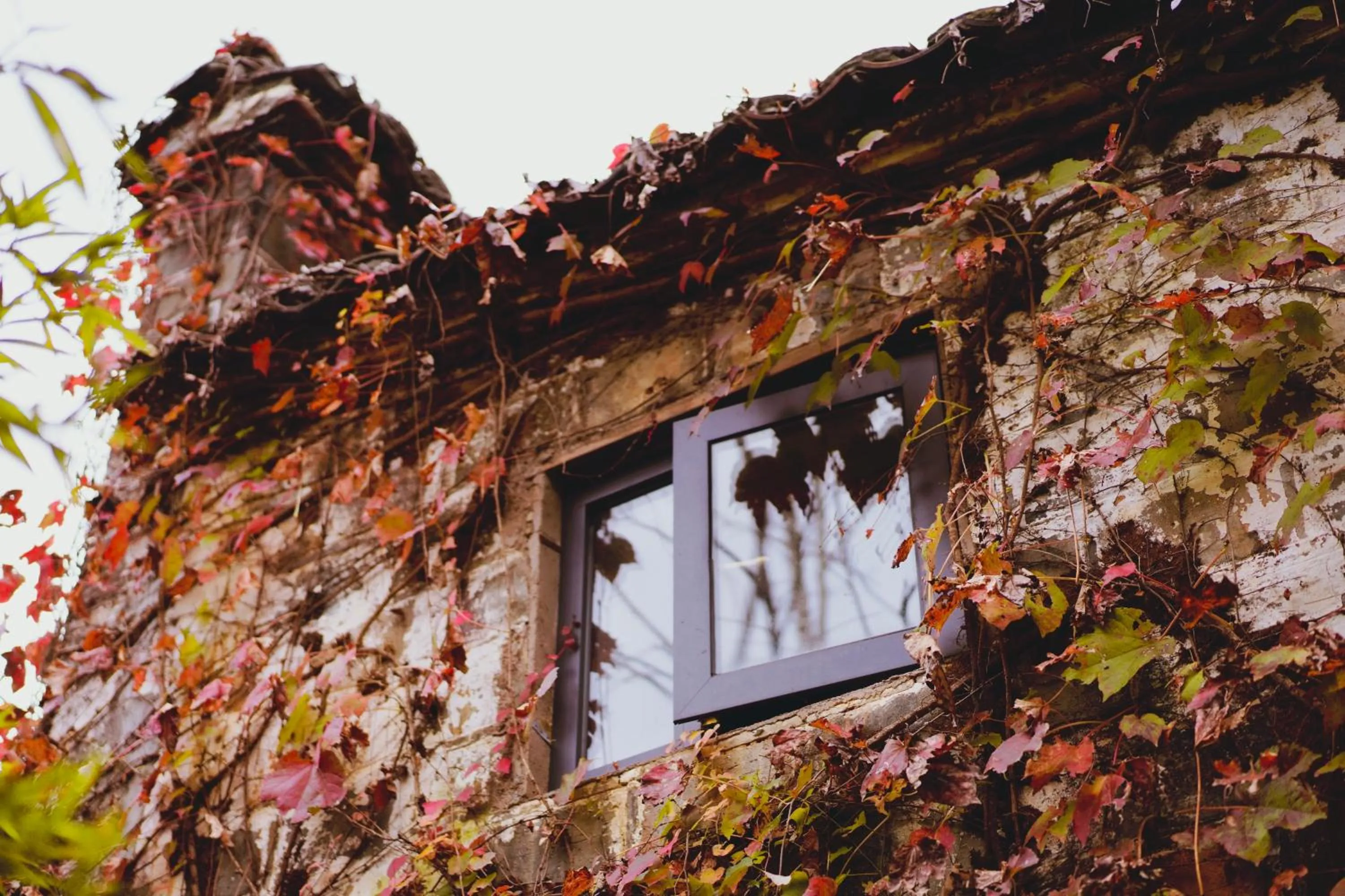 WuYuan QiYe YanXiang Guesthouse