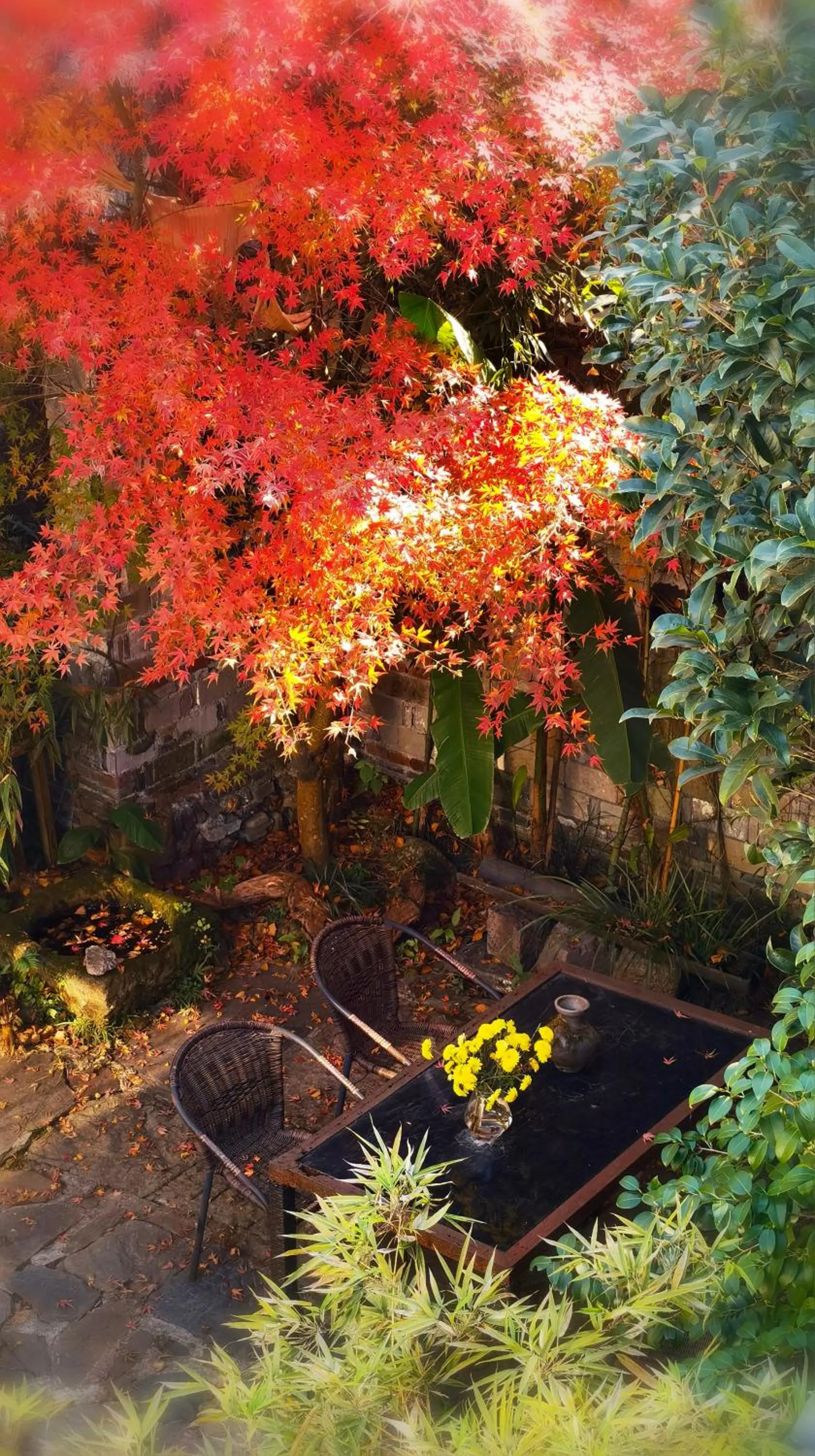 WuYuan QiYe YanXiang Guesthouse