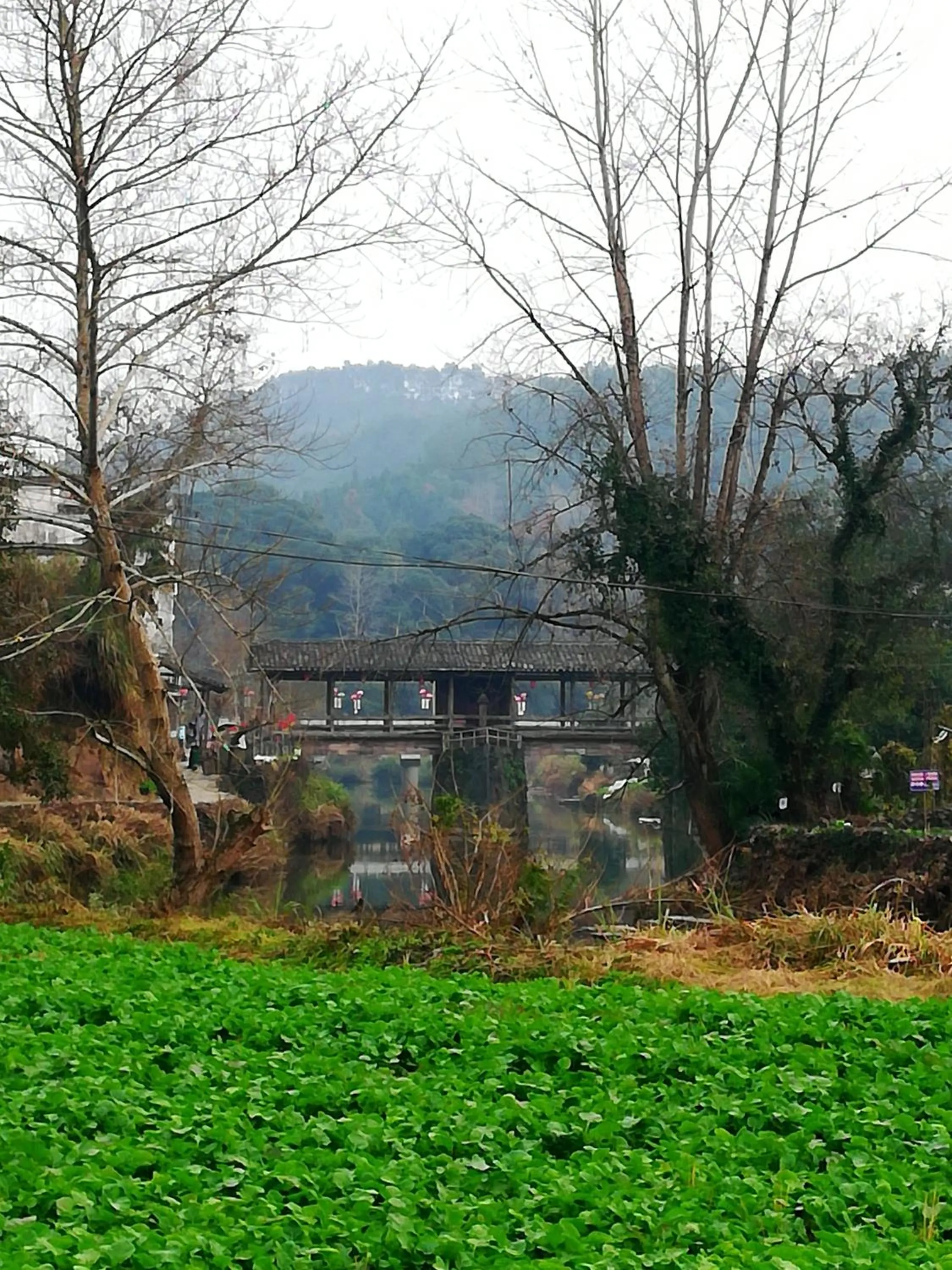 WuYuan QiYe YanXiang Guesthouse