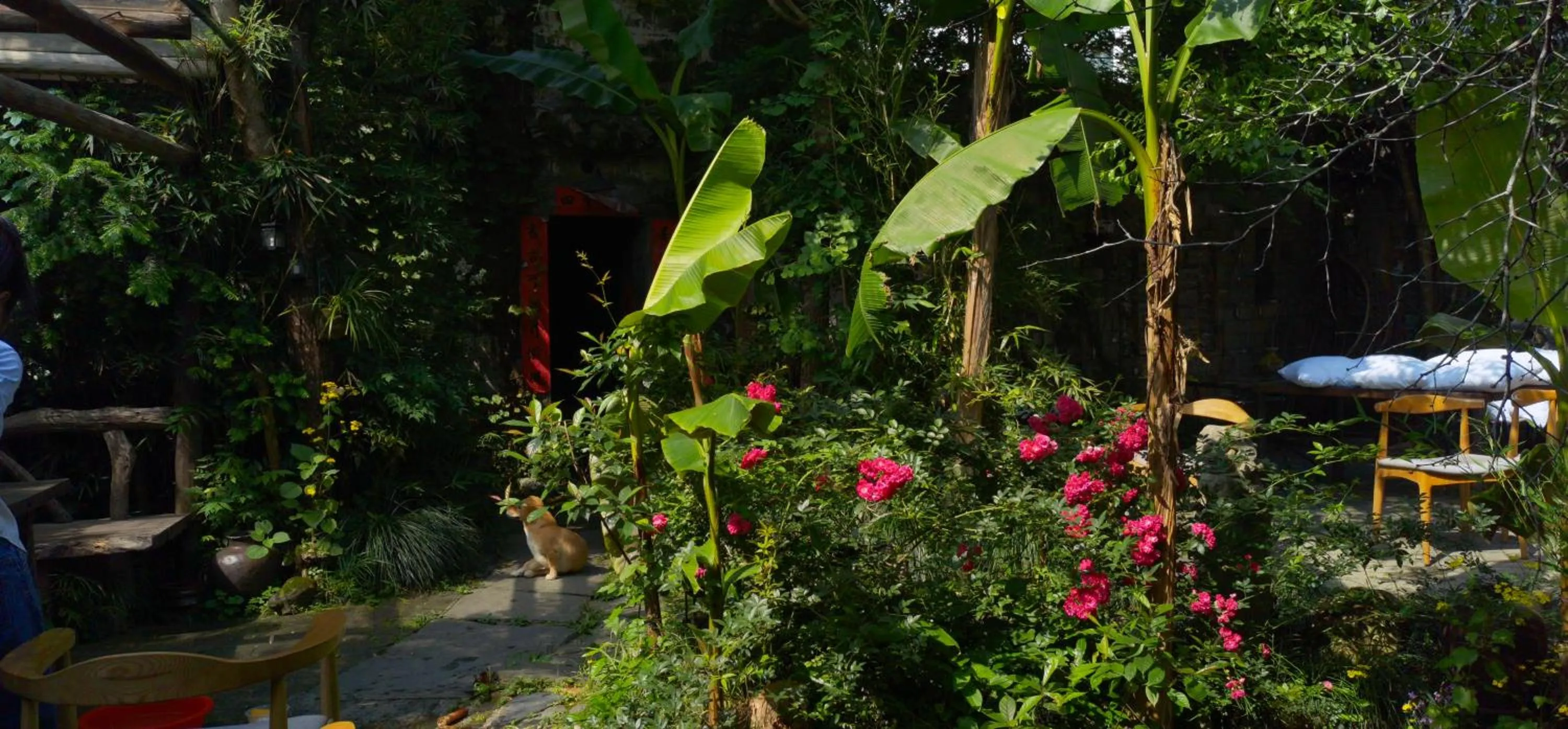 WuYuan QiYe YanXiang Guesthouse