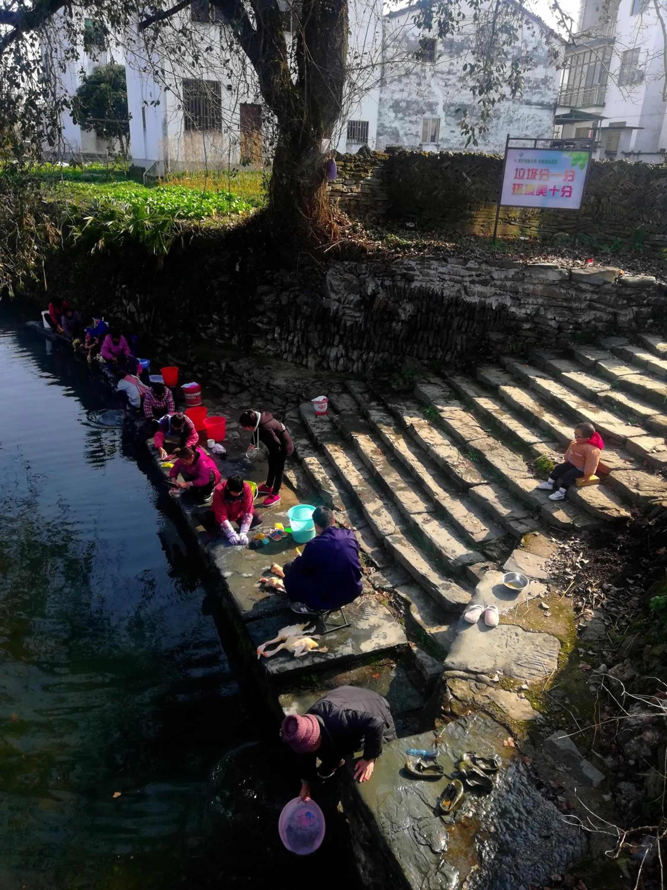 WuYuan QiYe YanXiang Guesthouse