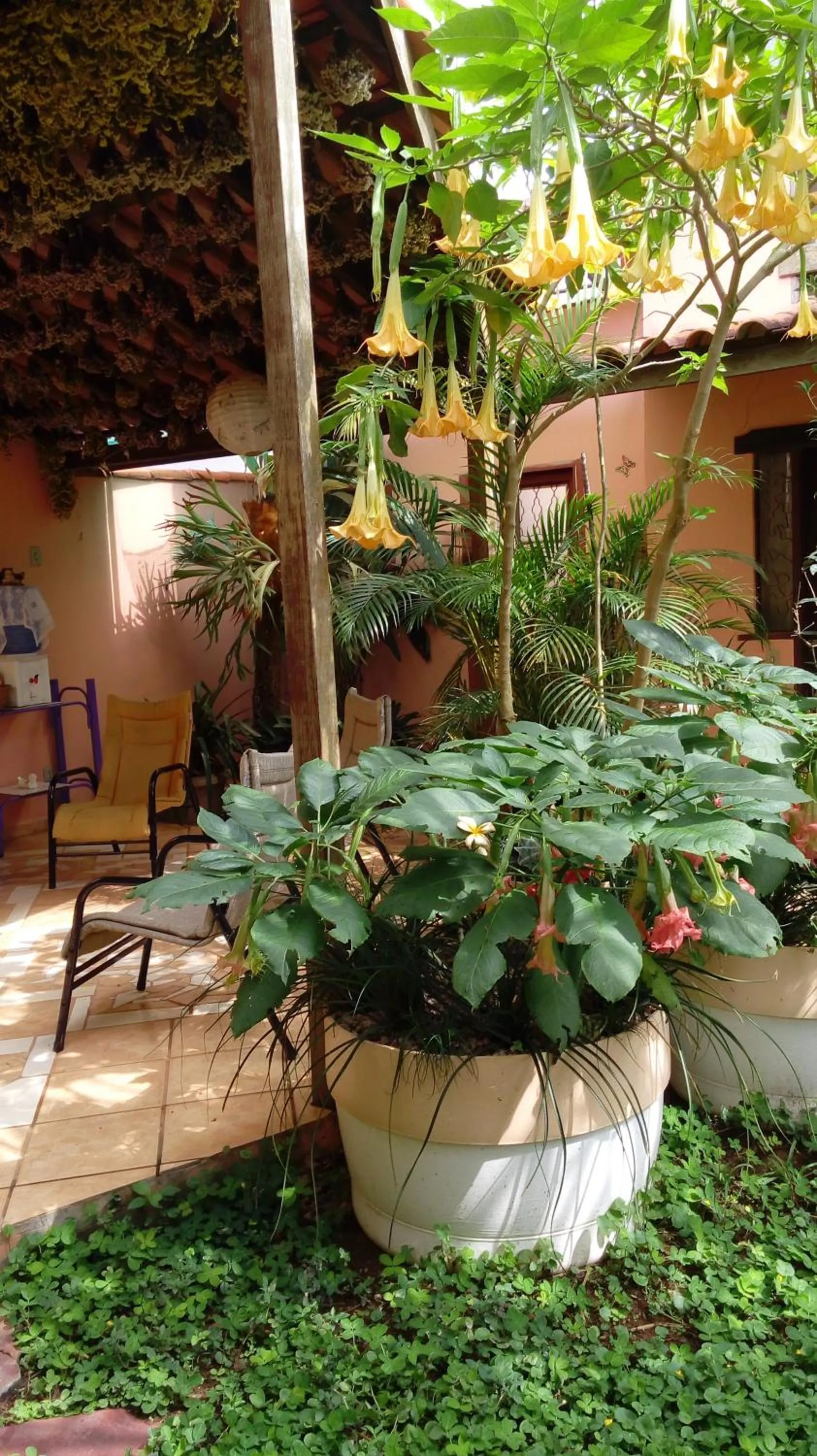 Garden in Eco Pousada Jardim do Eden