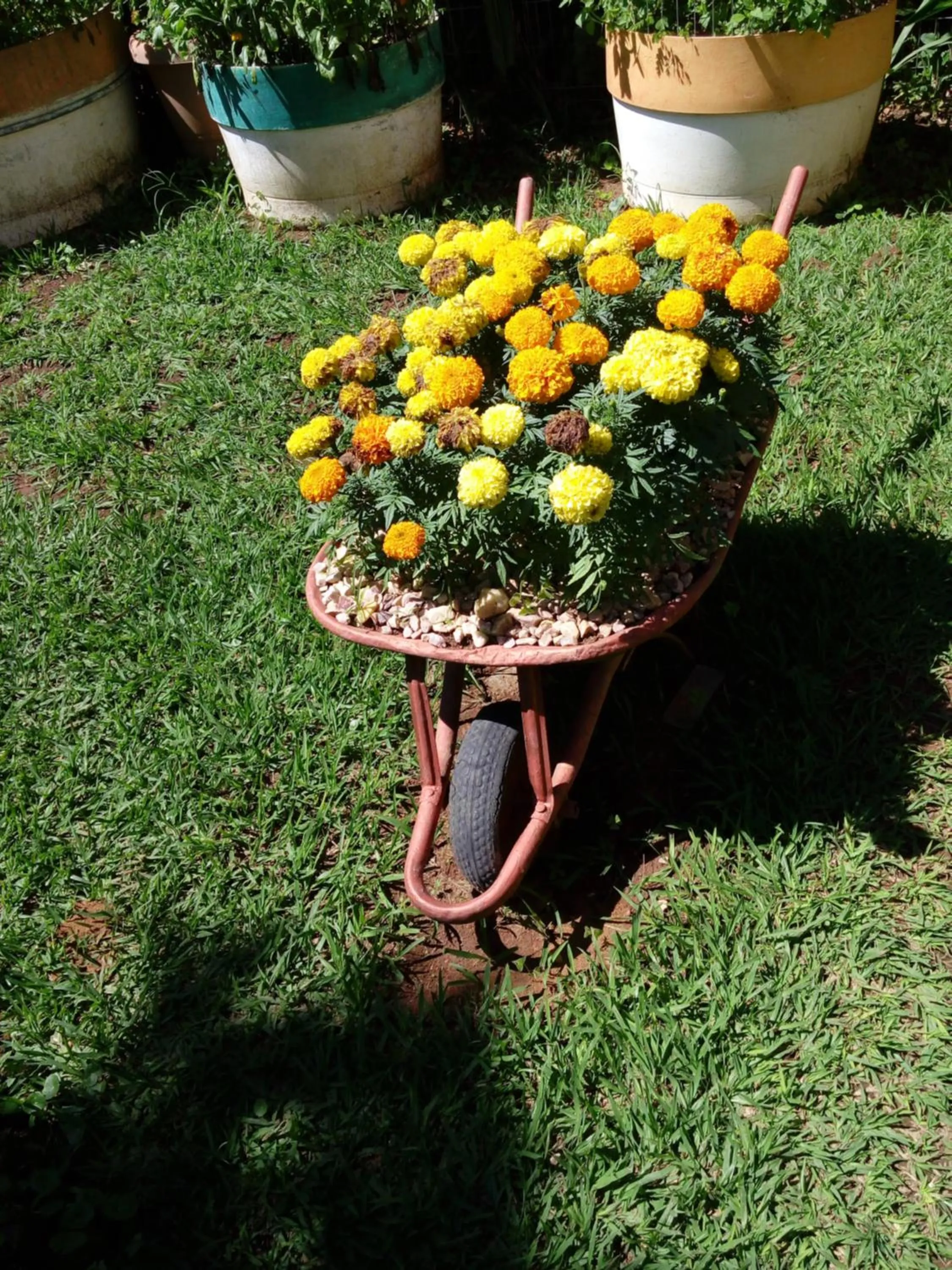 Eco Pousada Jardim do Eden