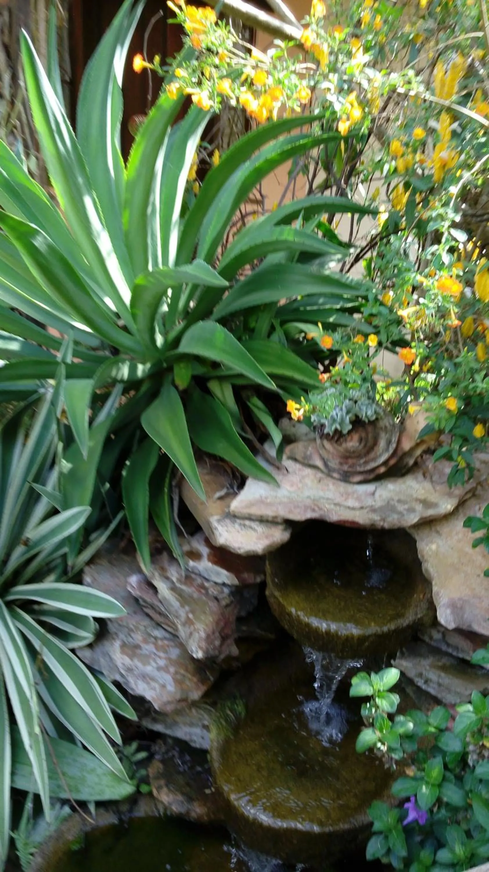 Eco Pousada Jardim do Eden