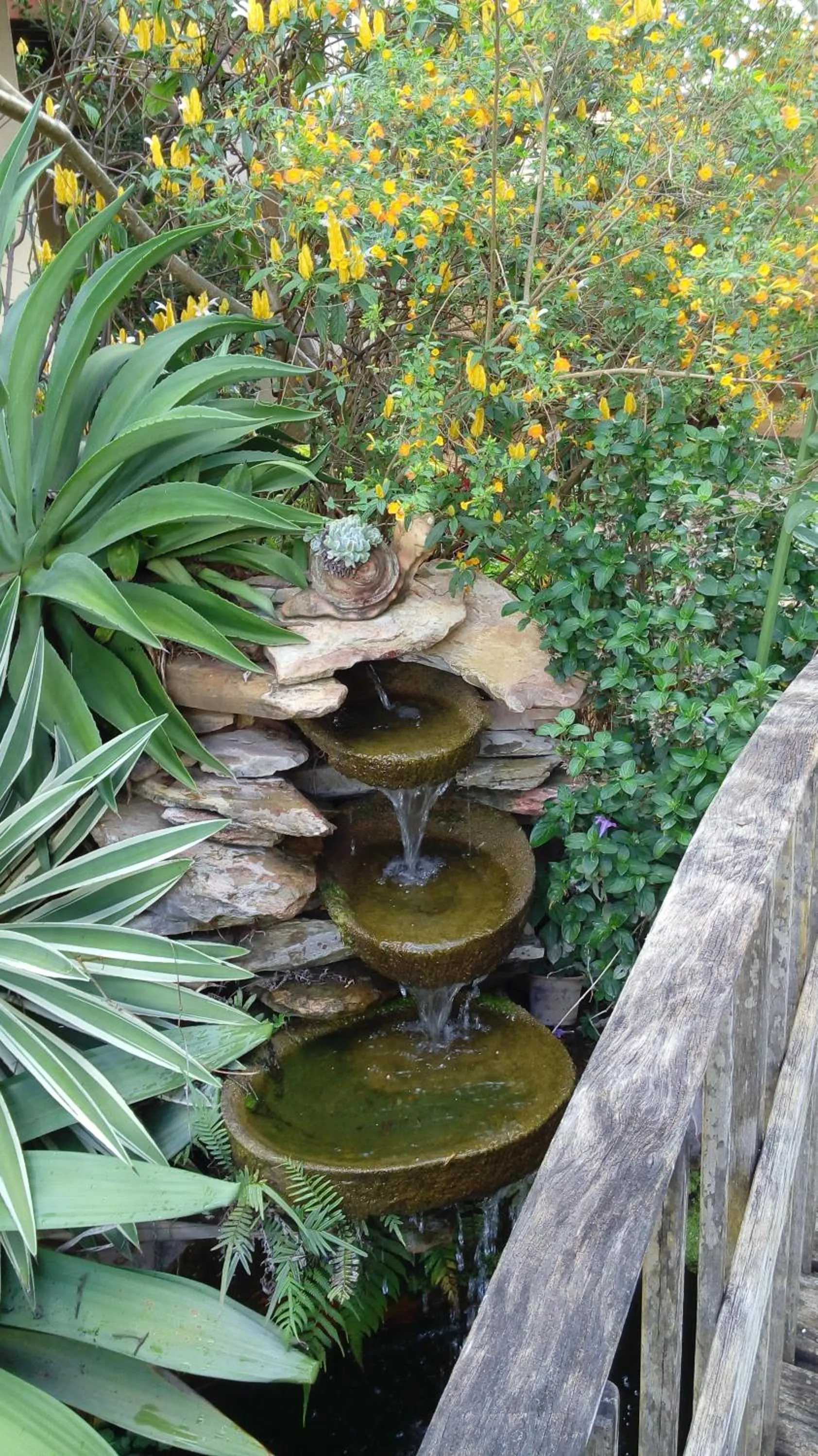 Garden in Eco Pousada Jardim do Eden