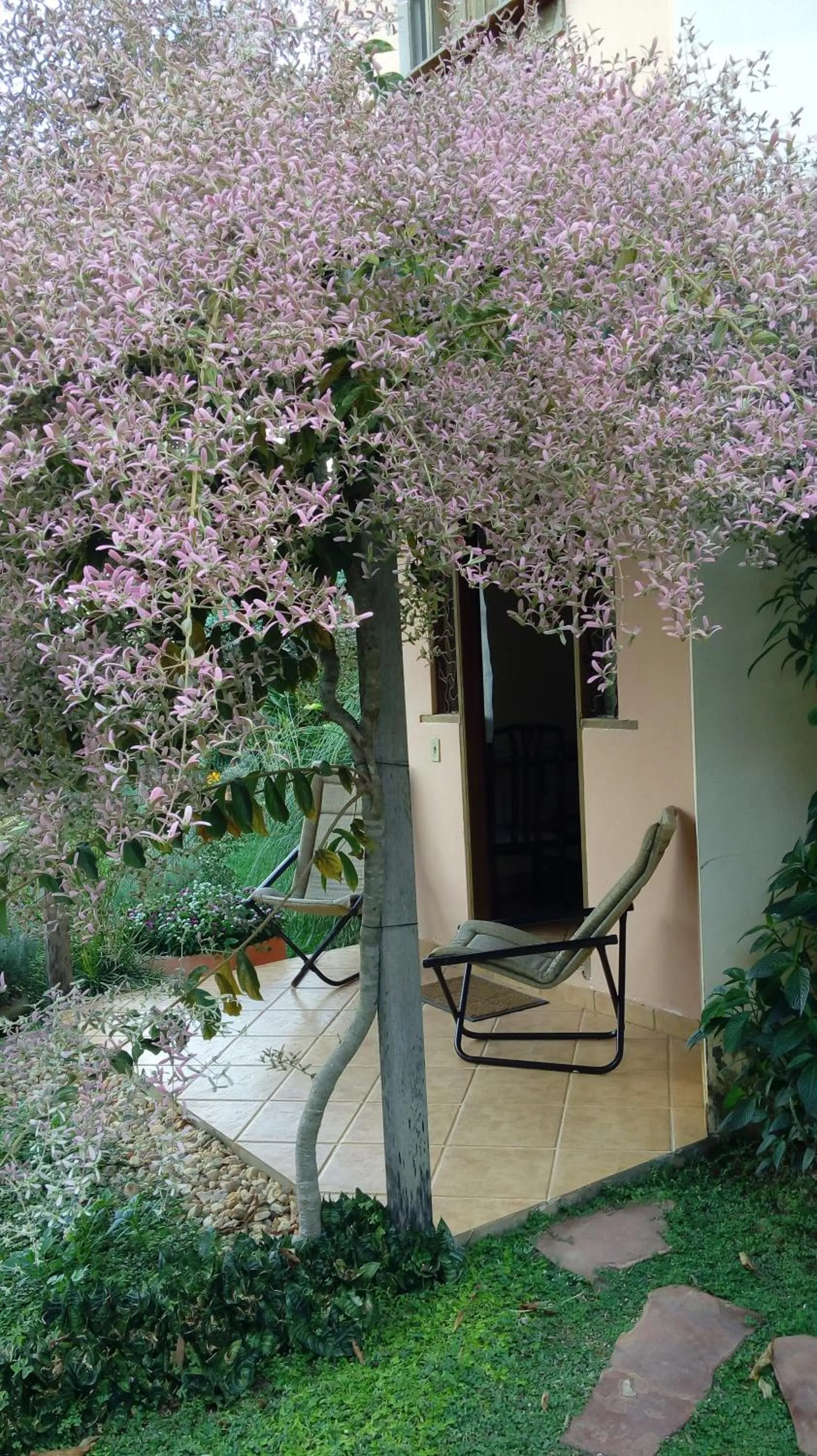 Patio in Eco Pousada Jardim do Eden