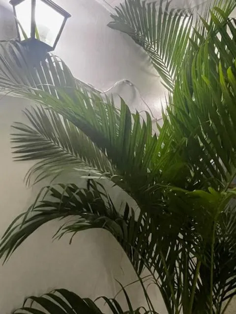 Hotel Costa Linda Beach Boca Chica