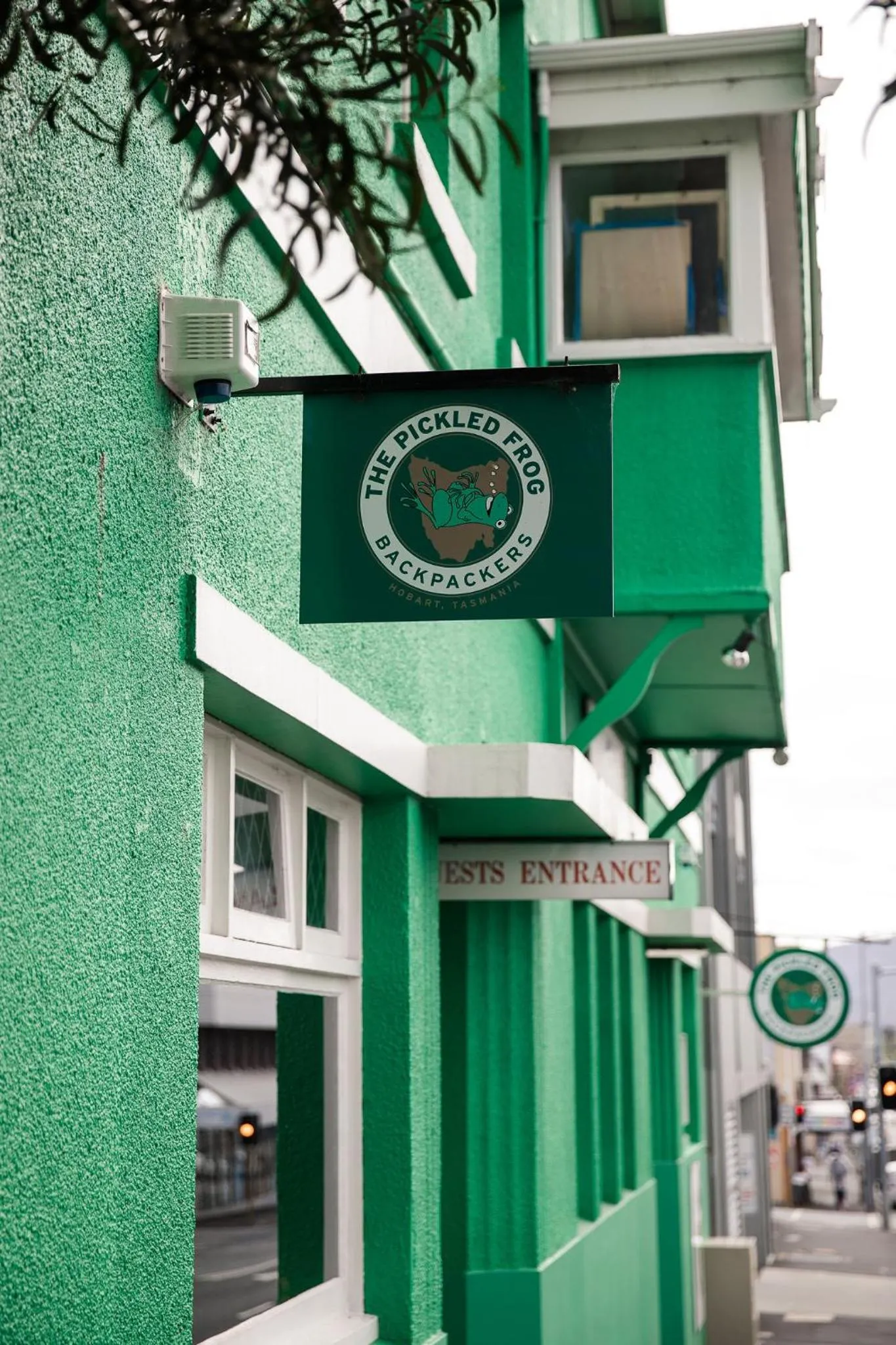 The Pickled Frog