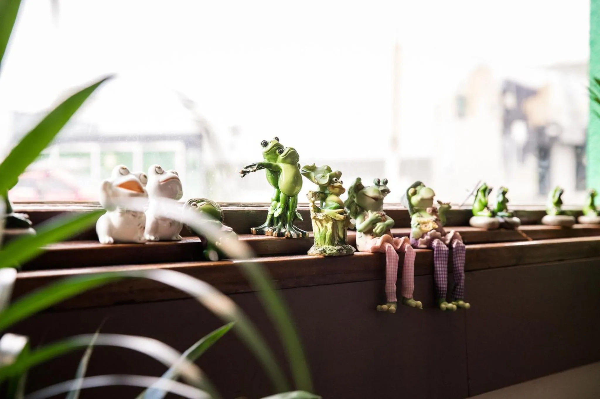 The Pickled Frog