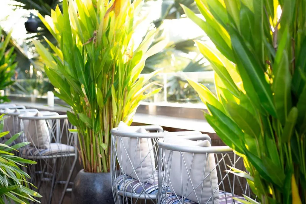 Other in Jaya House River Park Hotel