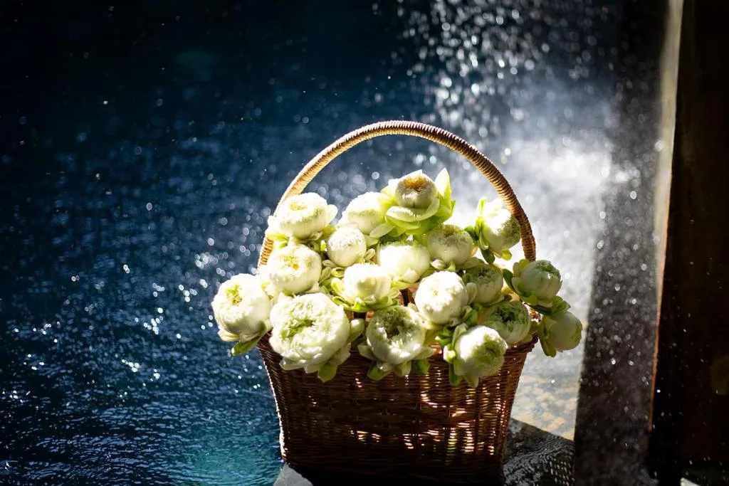 Other in Jaya House River Park Hotel