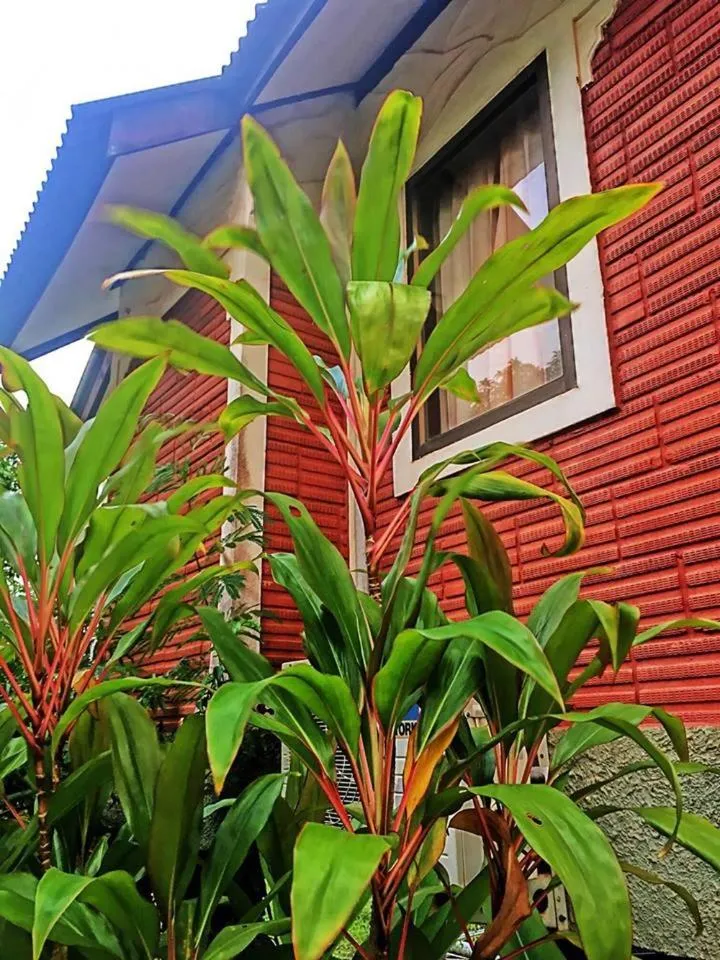 Garden in Lanta Queen Resort