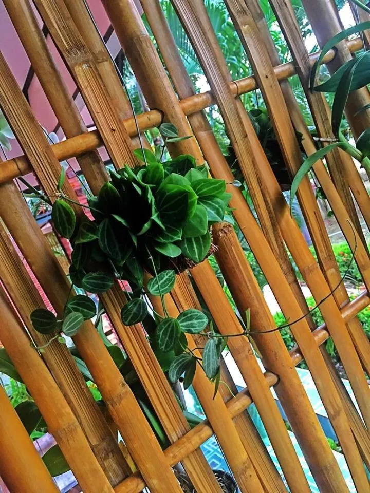 Decorative detail in Lanta Queen Resort