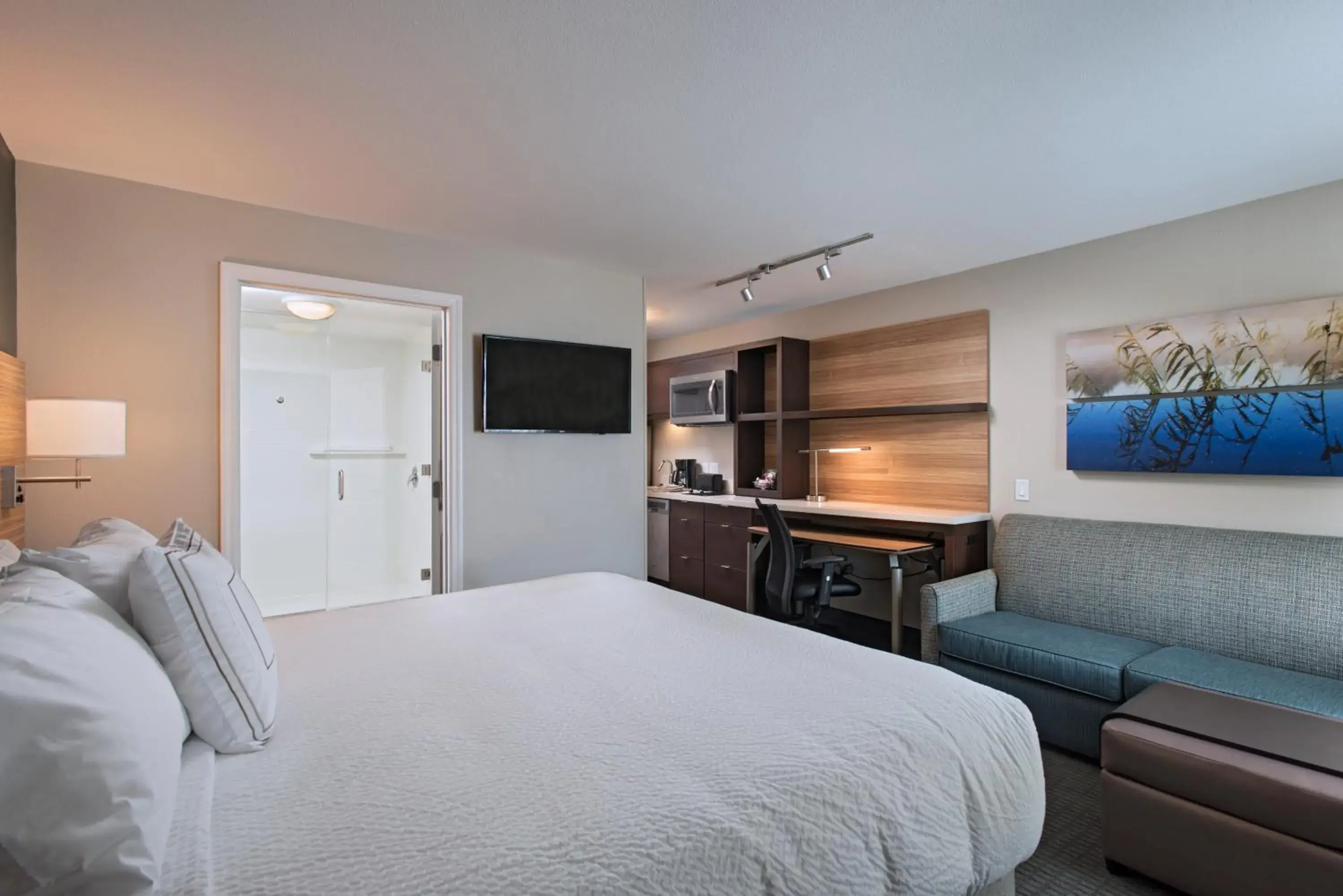 Queen Studio in TownePlace Suites by Marriott Lakeland Queen Studio in TownePlace Suites by Marriott Lakeland