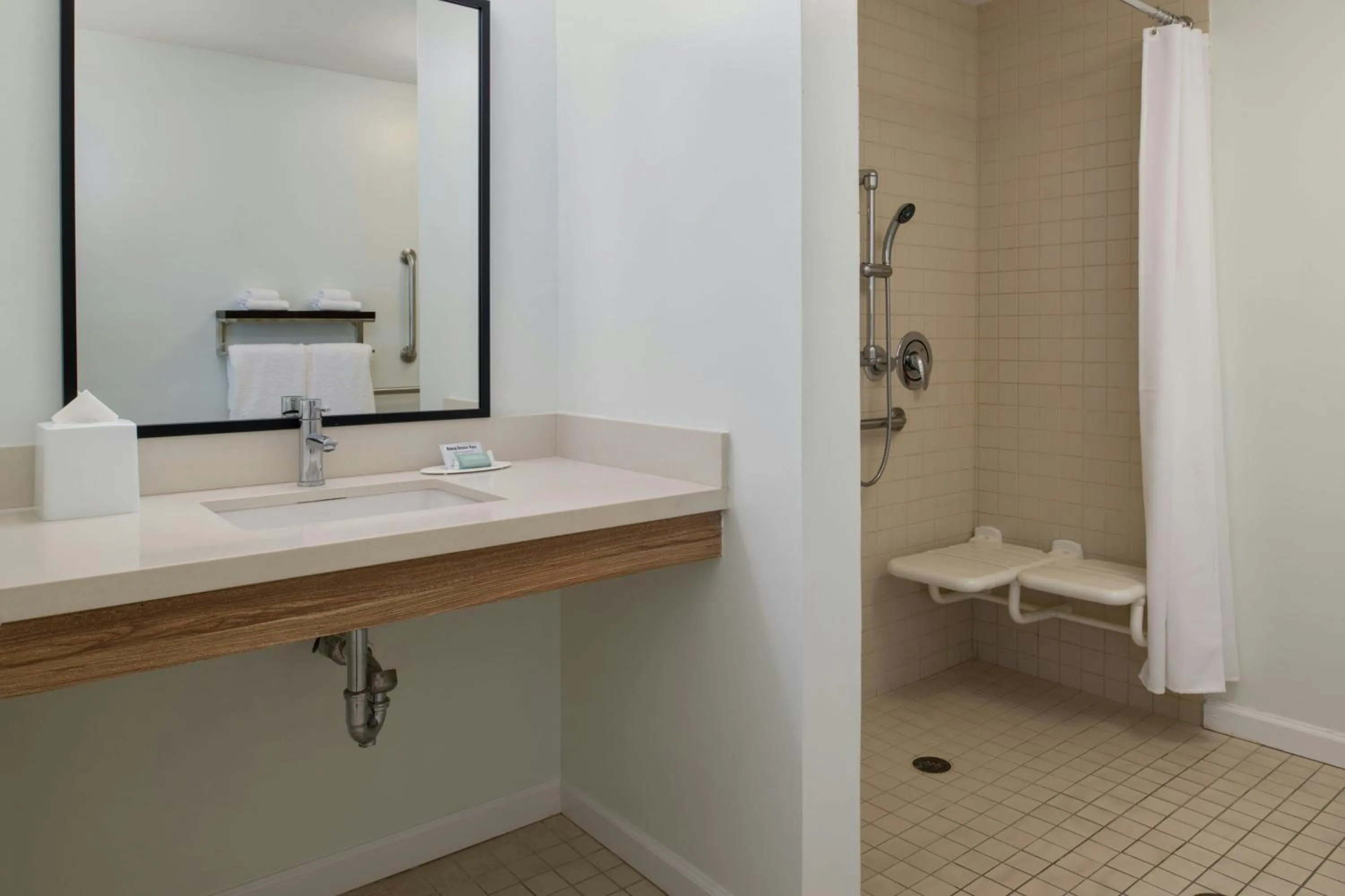 Bathroom in TownePlace Suites by Marriott Lakeland