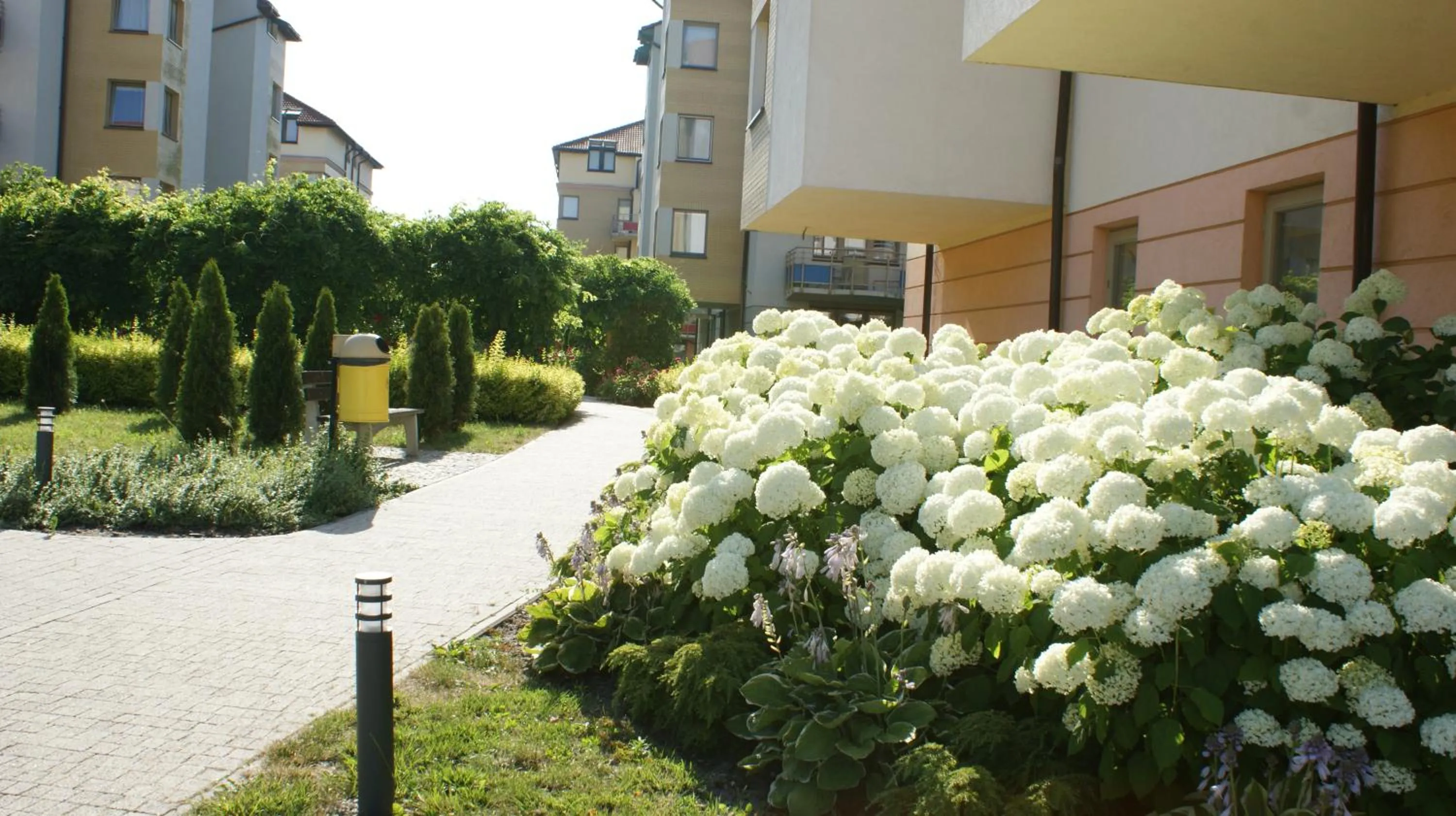 Garden in Apartament Agata