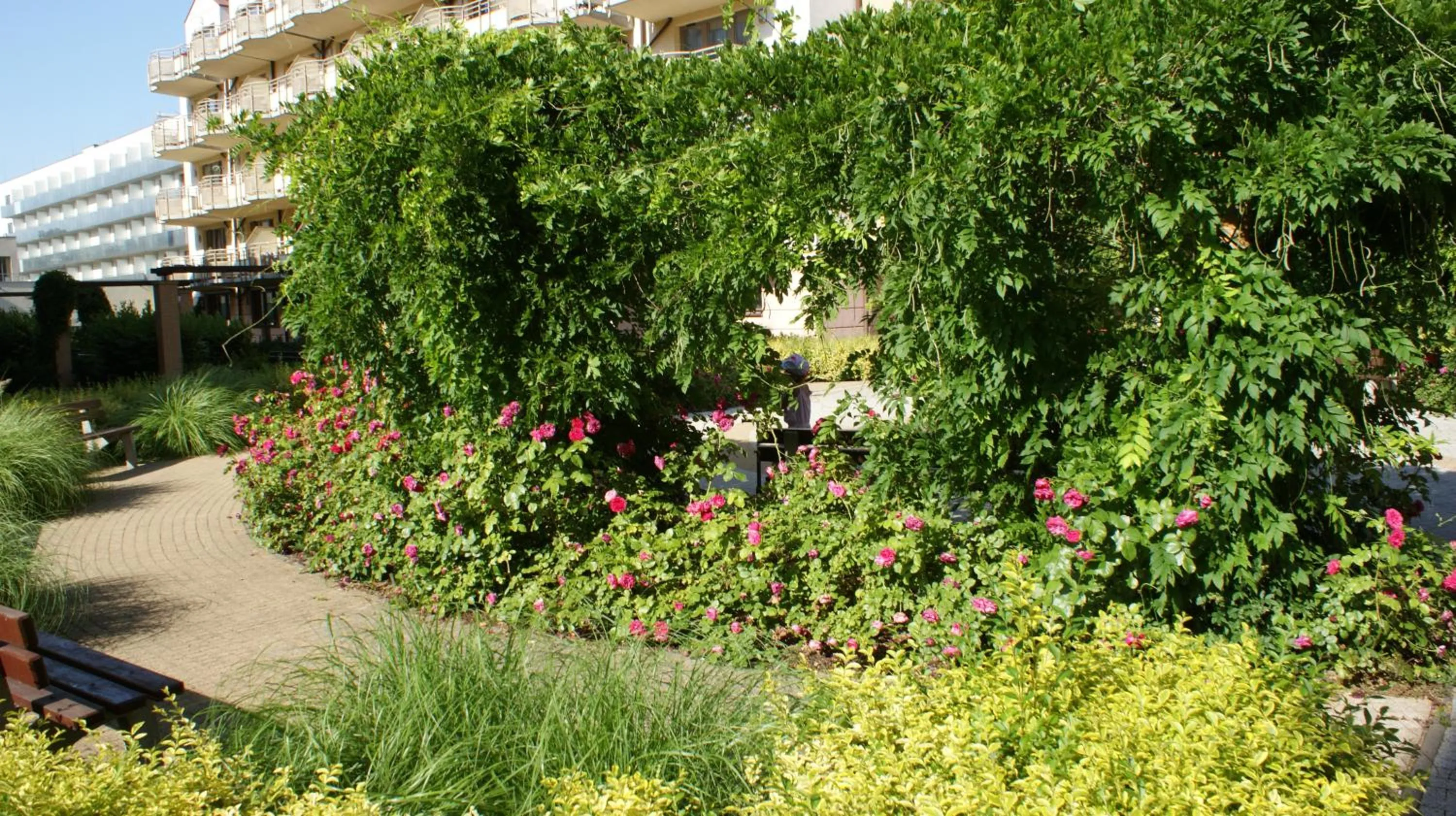 Apartament Agata