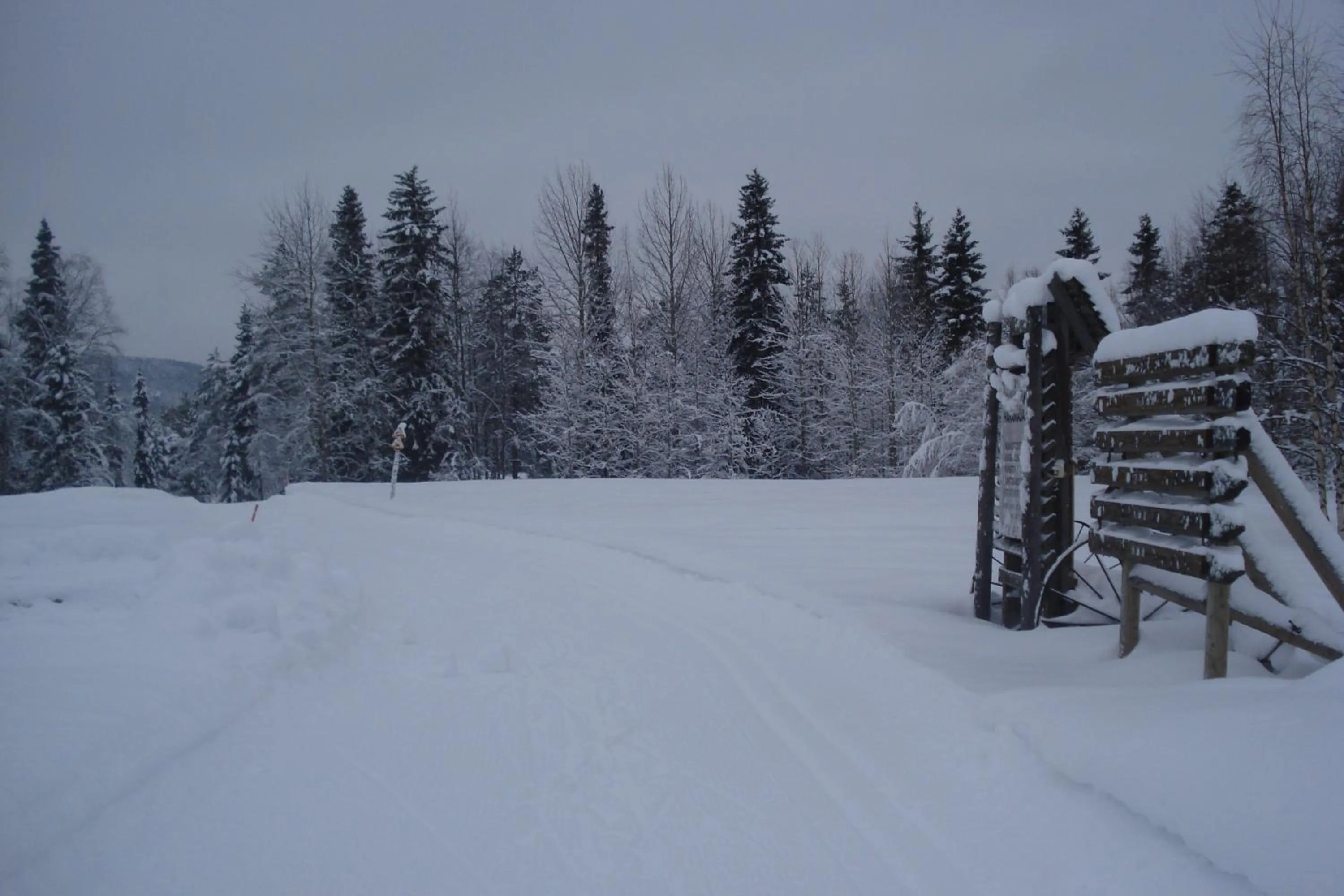 Skiing in Toola-Lodge